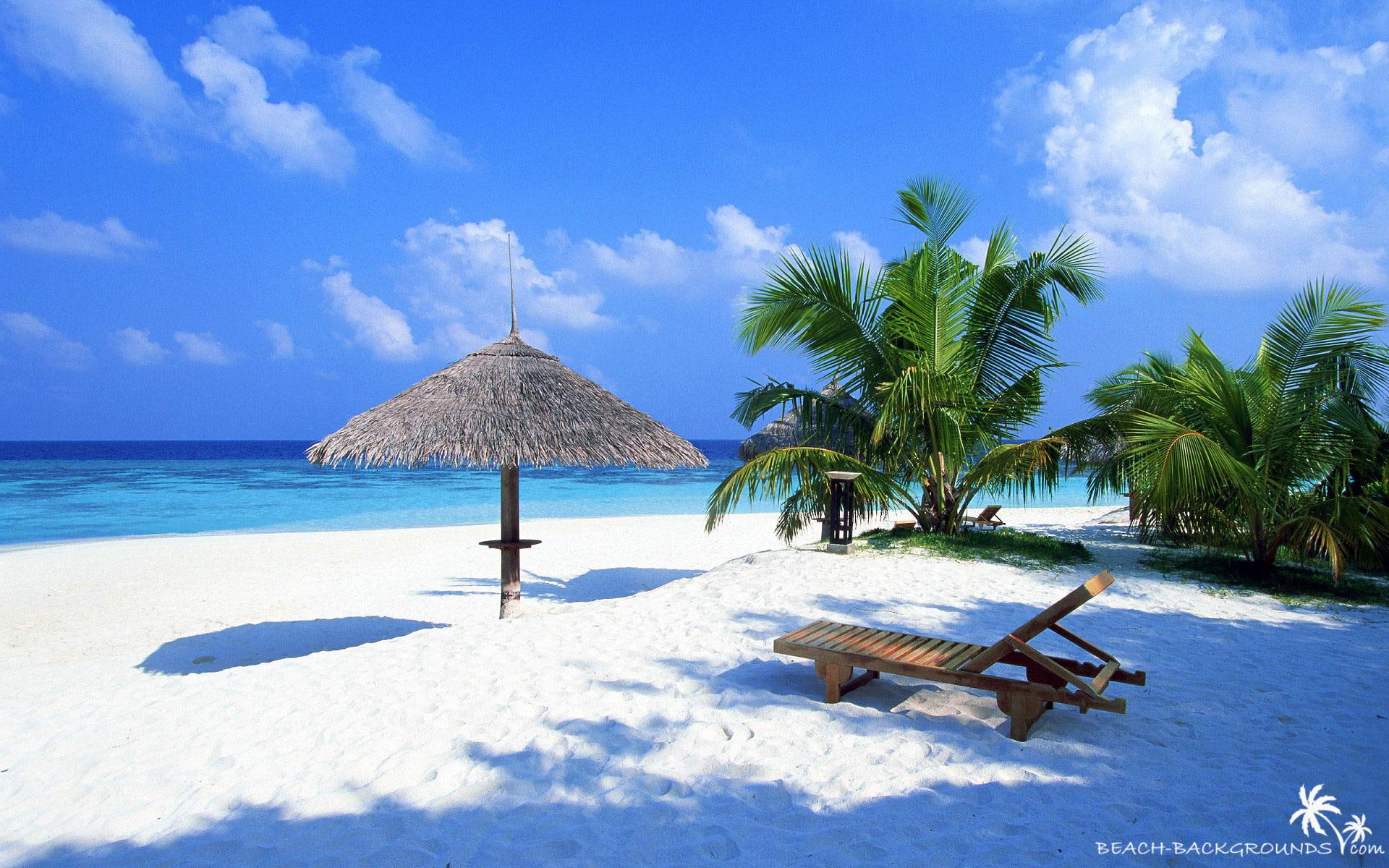 3d and abstract, beach, x, palmtrees, sand, clouds, tropical, 1080P, HD Wallpaper