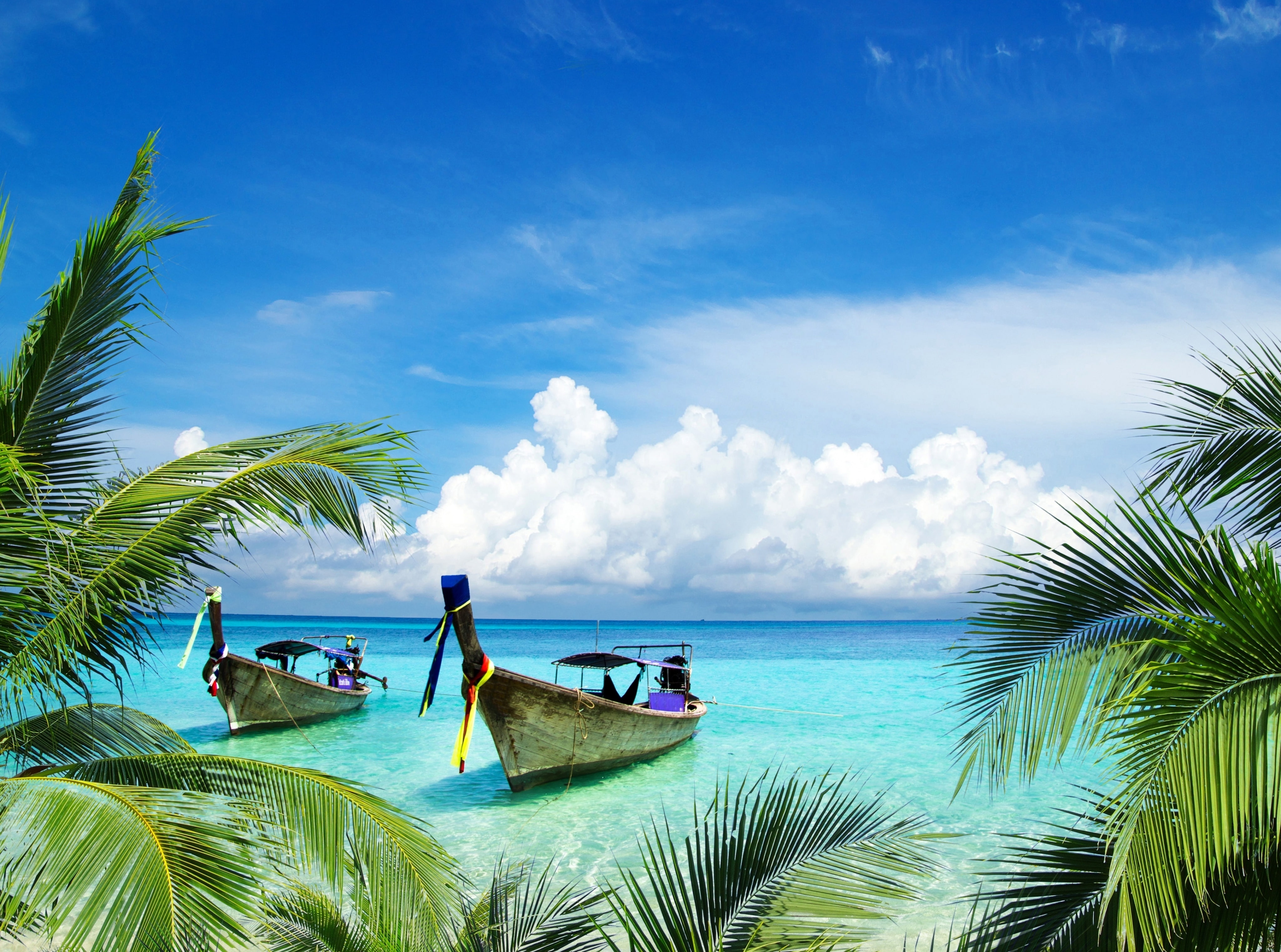 land, Destination, Asia, tail, Clear, 4K, cloud - sky, beauty in nature, turquoise colored, trees, palm tree, palmtrees, Vacation, visit, scenics - nature, HD Wallpaper