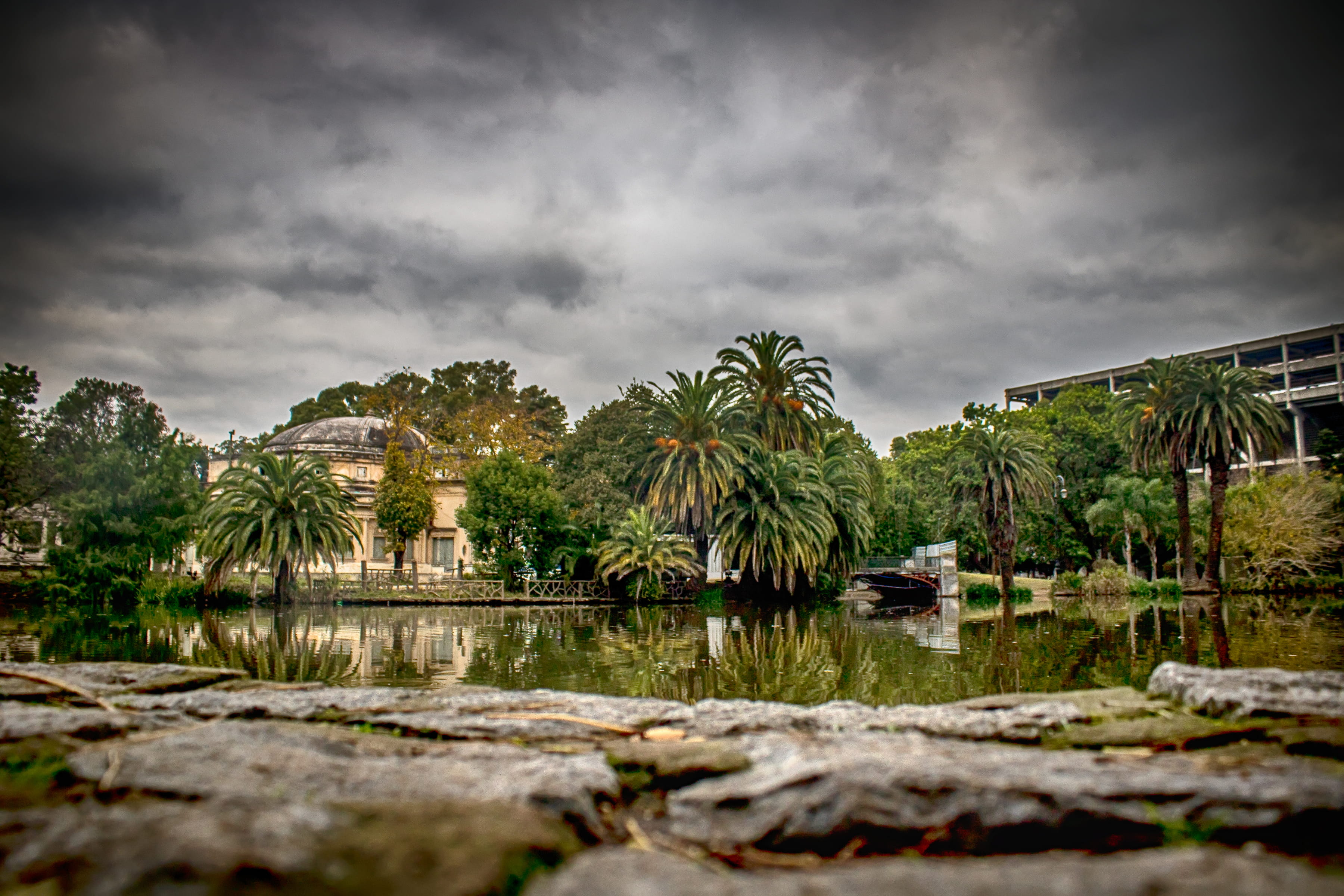 water, environment, growth, reflection, storm, trees, sky, outdoors, la plata, land, no people, cloud - sky, beauty in nature, tropical tree, 2K, tranquility, HD Wallpaper
