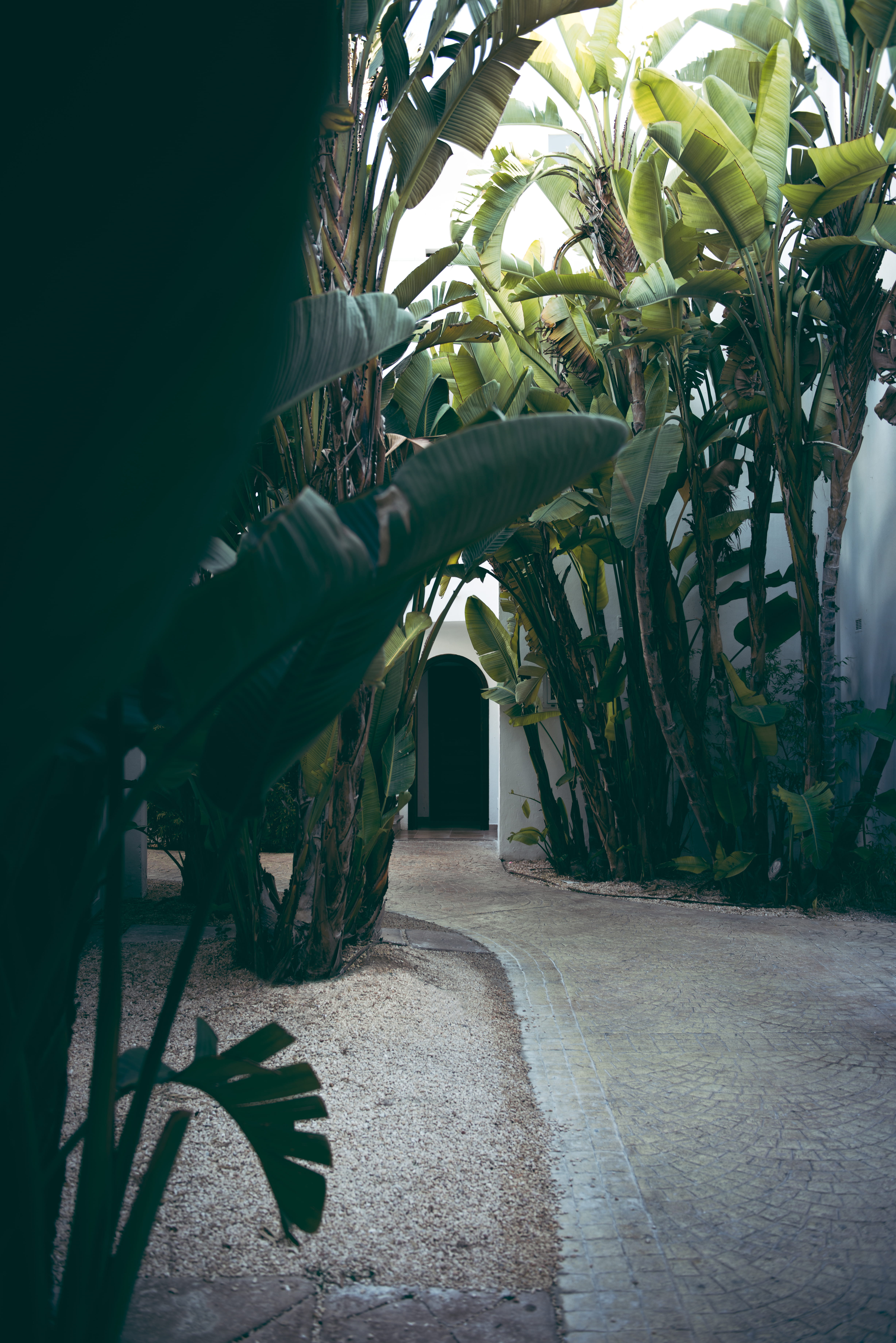 street, seat, beauty in nature, walkway, palmtrees, footpath, built structure, plant, urban, nature, building, porch, human, road, growth, path, bunker, Phone HD Wallpaper