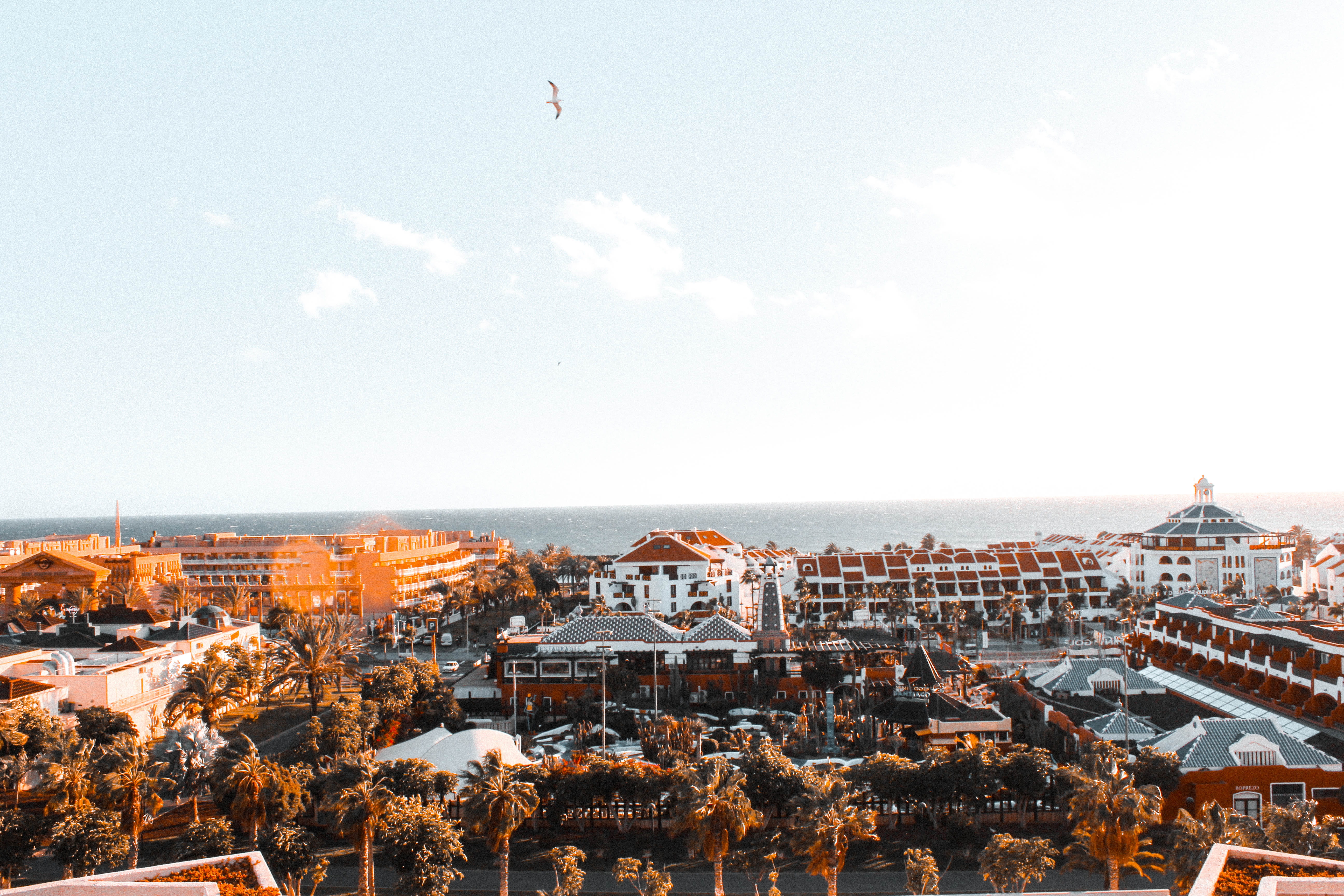 sea, home, 5K, playa de las américas, amusement park, travel, building exterior, travel destinations, crowd, amusement park ride, palmtree, rooftop, residential district, HD Wallpaper