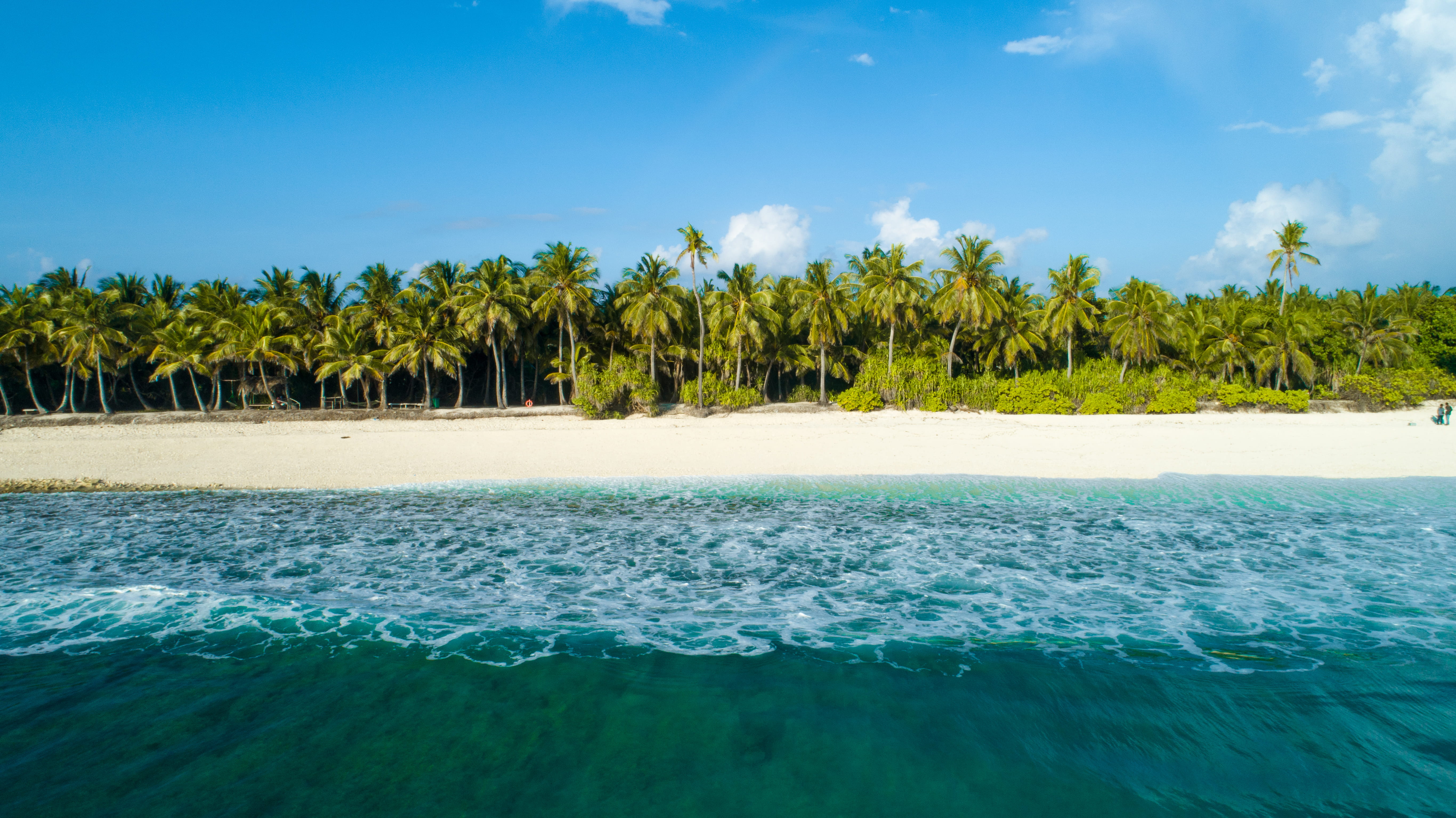 ocean, waves, coconut palm tree, sky, tranquility, turquoise colored, swimming pool, tropical tree, plant, beauty in nature, atoll, maldives, idyllic, maldivestourism, HD Wallpaper