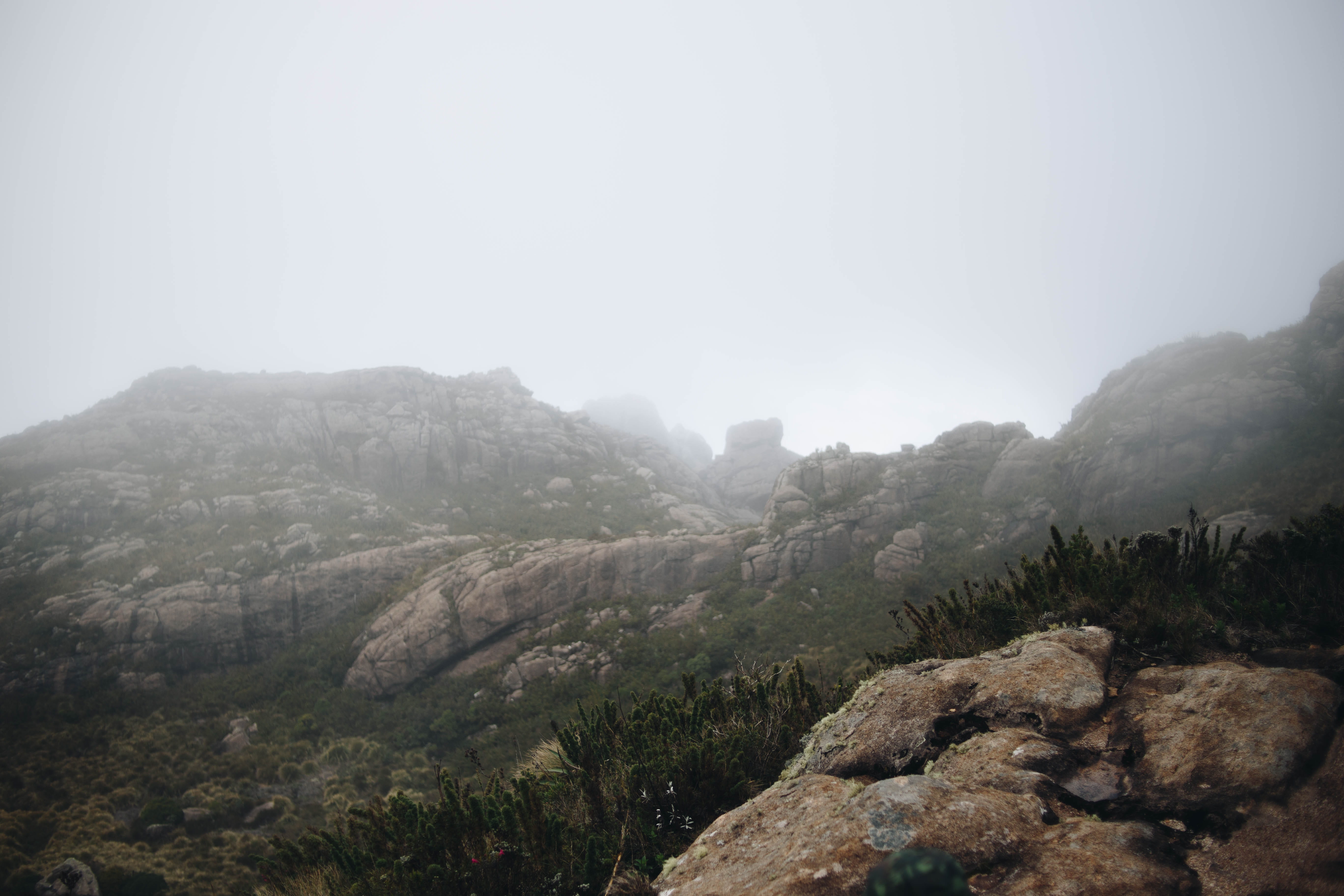 tranquil scene, weather, tranquility, wilderness, landscape, slope, outdoors, outdoor, cliff, formations, scenics - nature, day, fir, rock, mist, environment, HD Wallpaper
