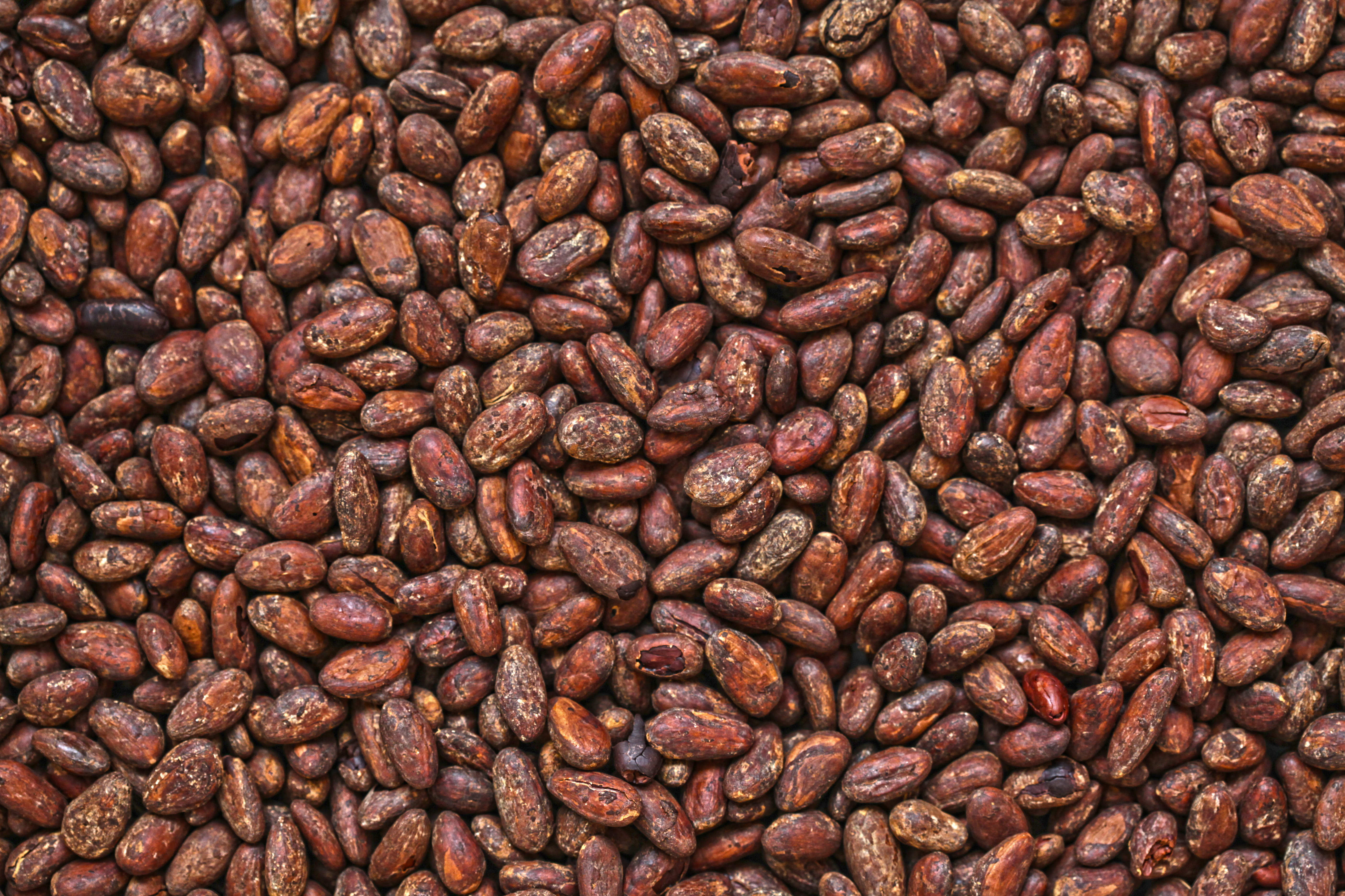 pattern, chocolate, kristianapinne, 5K, vegetable, bean, backgrounds, abundance, food, full frame, coffee - drink, grain, eko, freshness, brown, produce, HD Wallpaper