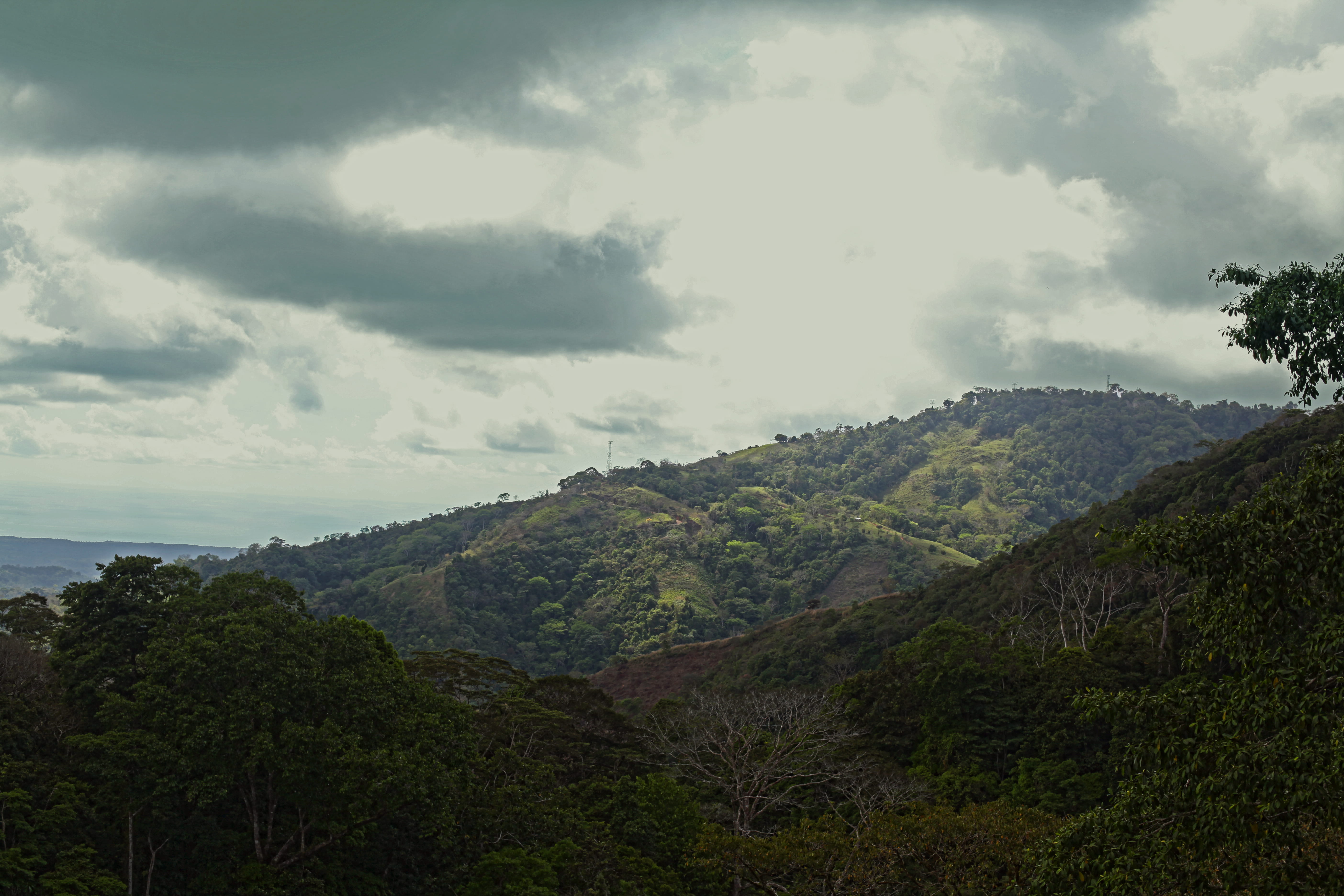 hills, tree, costa rica, canon, costarica, idyllic, non-urban scene, sweet, tranquil scene, green color, natural, forest, kristianapinne, tranquility, color, HD Wallpaper