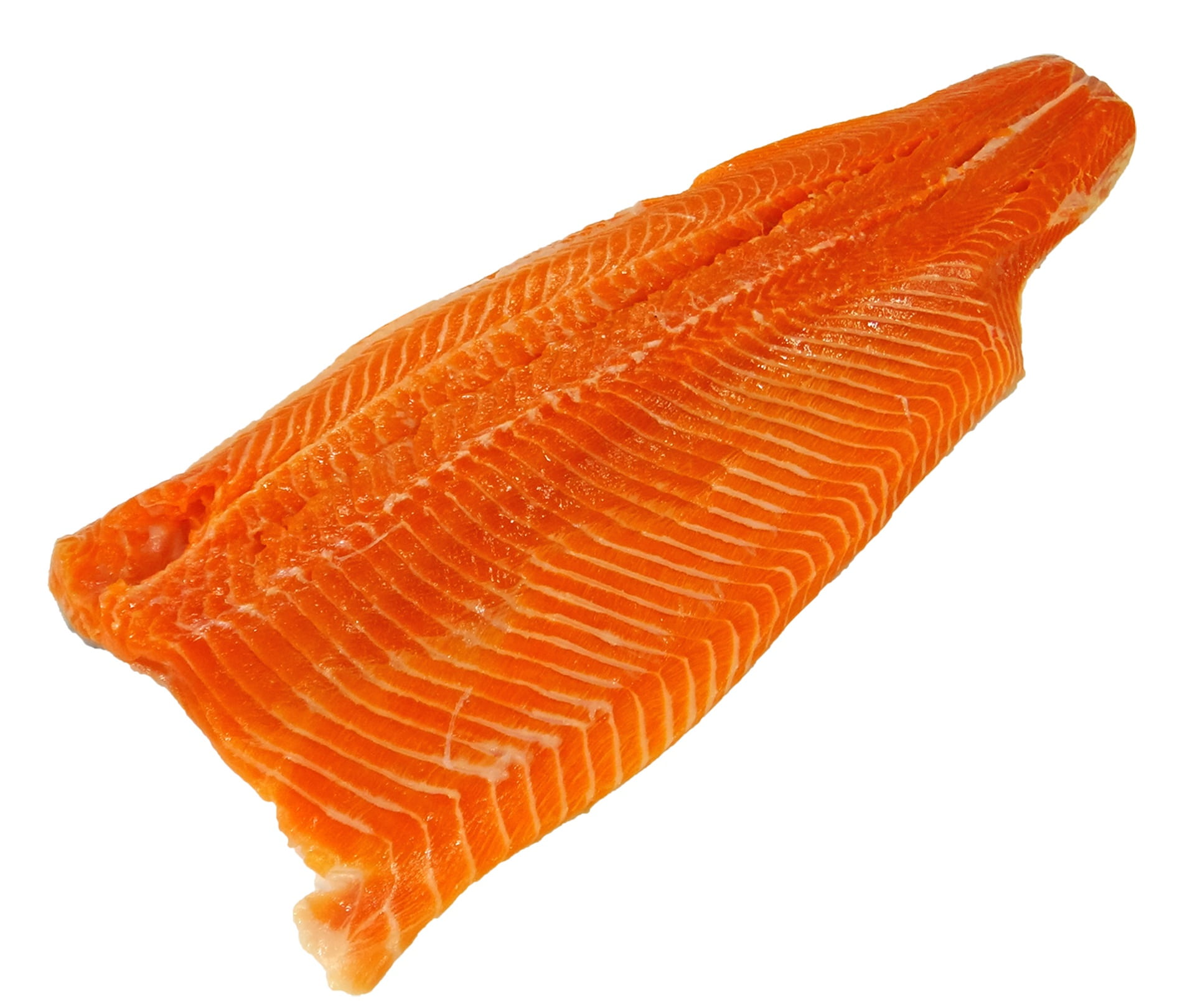 raw, animal wildlife, animal, seafood, catering, animal body part, indoors, food and drink, food, white background, 1080P, sea, close-up, orange color, HD Wallpaper