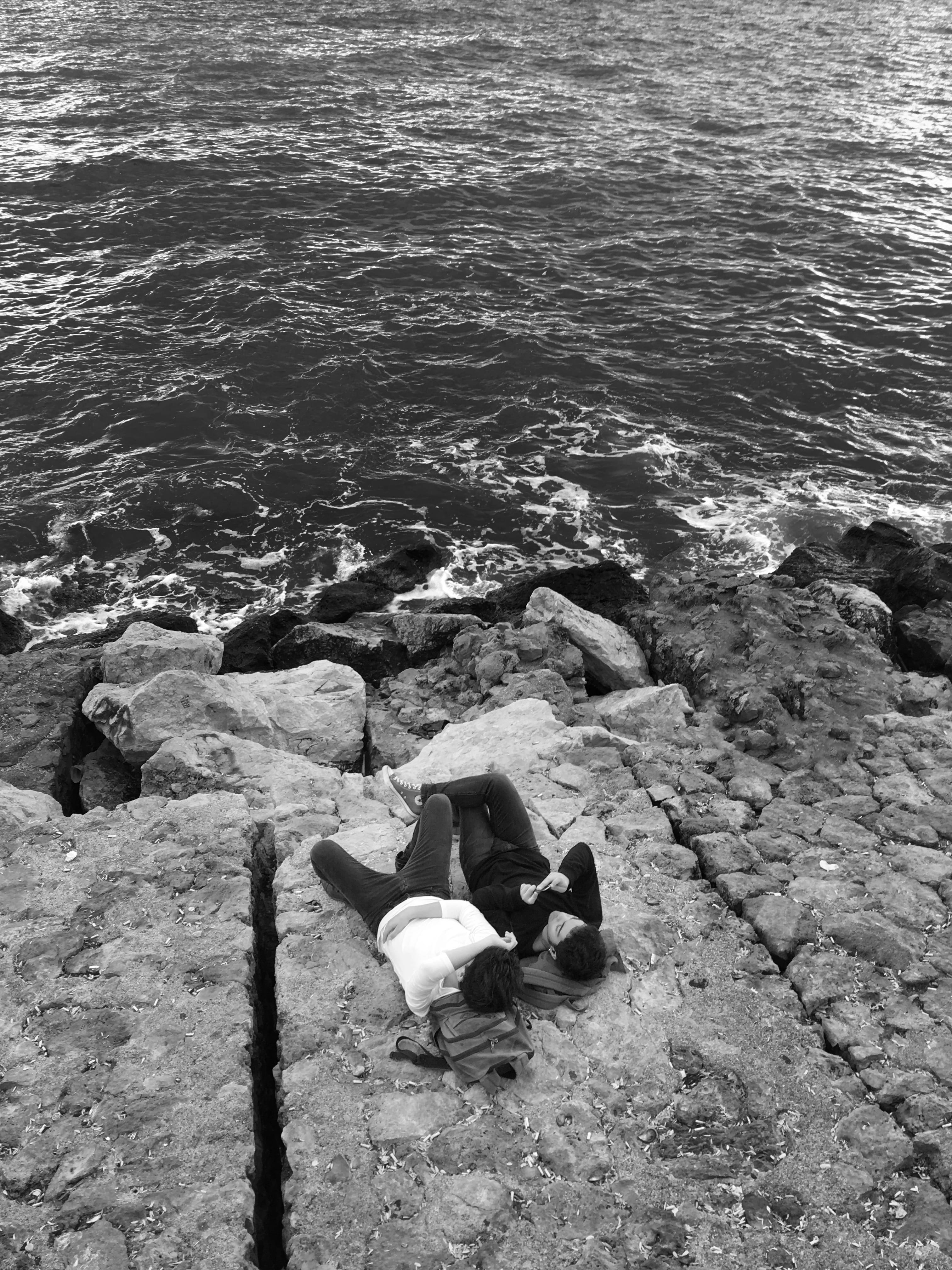 water, love, animal themes, sea, cute, rock - object, bird, day, romantic, beach, 4K, bnw, pride, ocean, selçuk mh., beauty in nature, vertebrate, animal, Phone HD Wallpaper