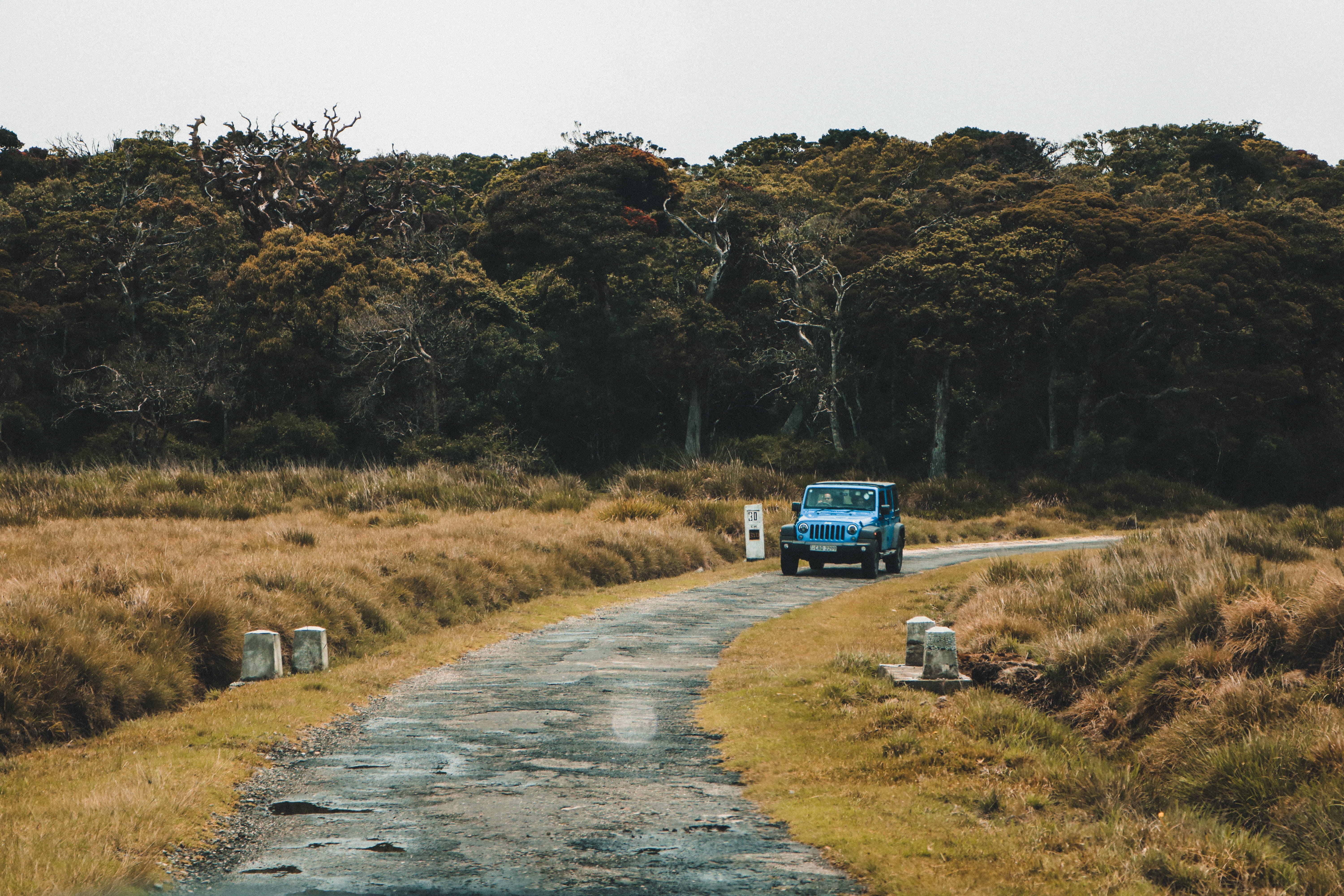 landscape, sri lanka, tree, no people, land, day, motion, non-urban scene, nature, 5K, automotive, grass, mode of transportation, on the move, plant, nuwara eliya, HD Wallpaper