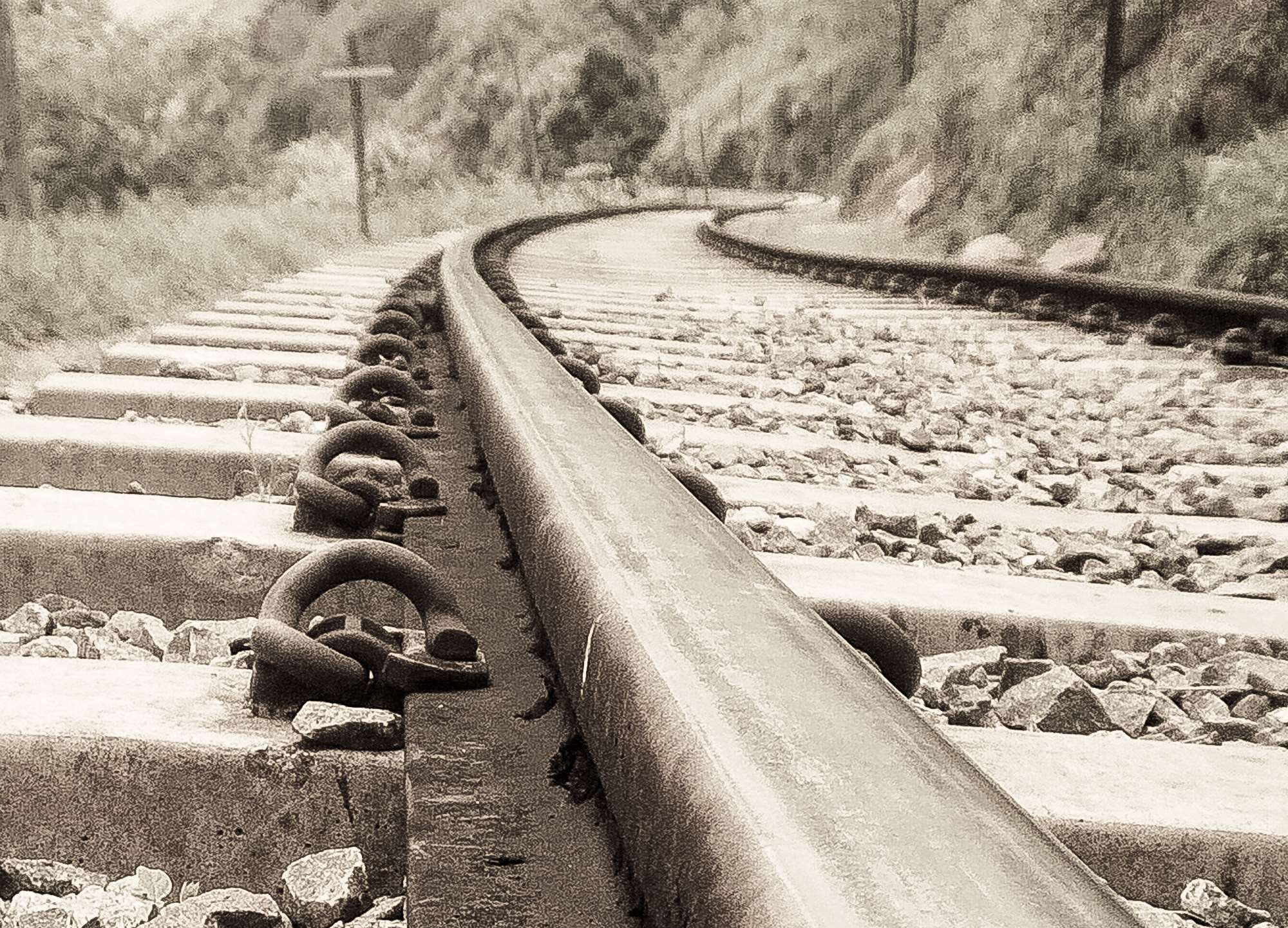 tree, direction, outdoors, transportation, no people, asia, vanishing point, day, plant, diminishing perspective, photography, long, gravel, the way forward, HD Wallpaper