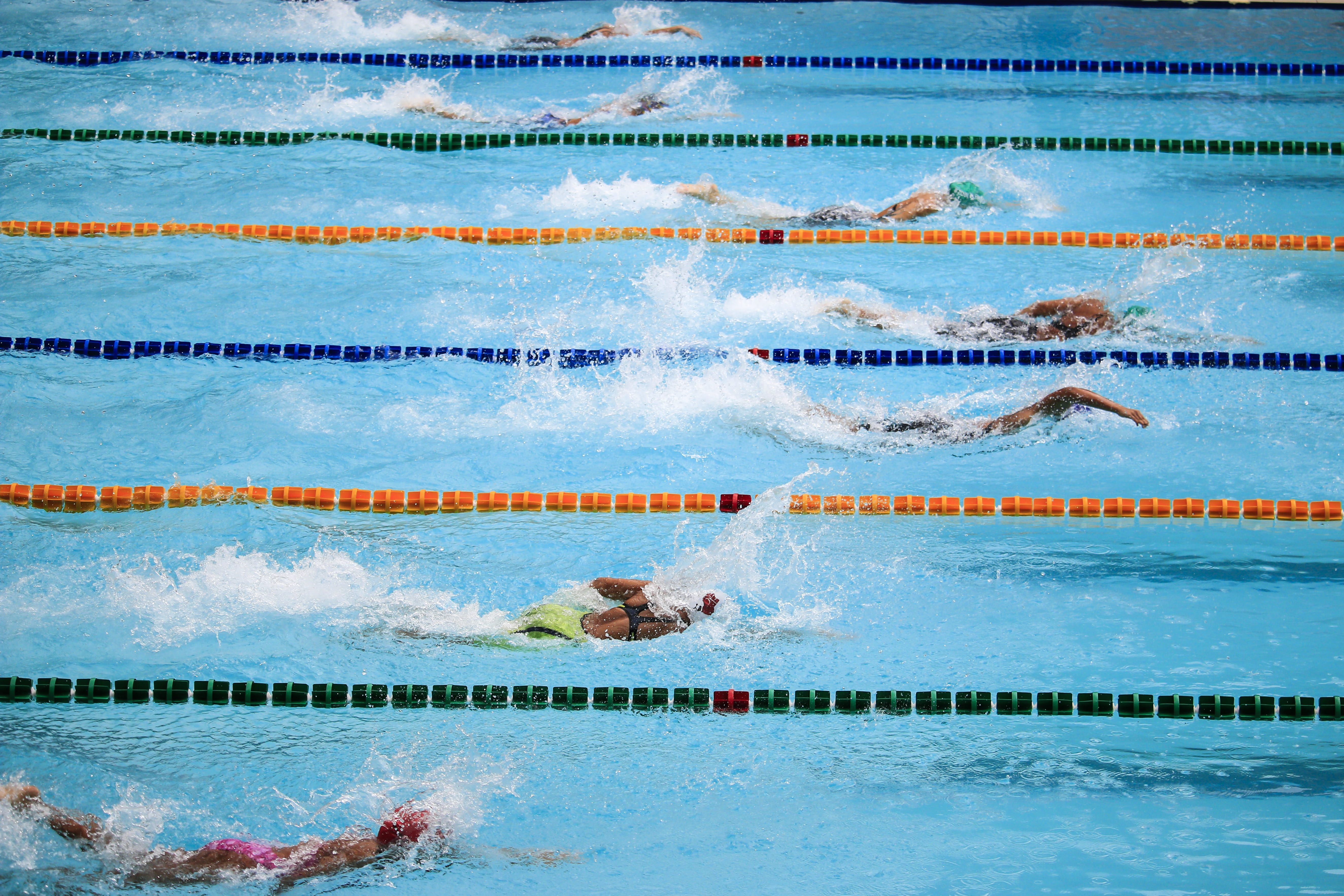 nature, sports race, turquoise, sport, people, outdoors, competition, skill, fitness, pool, exercising, sports, speed, competitive sport, effort, determination, HD Wallpaper