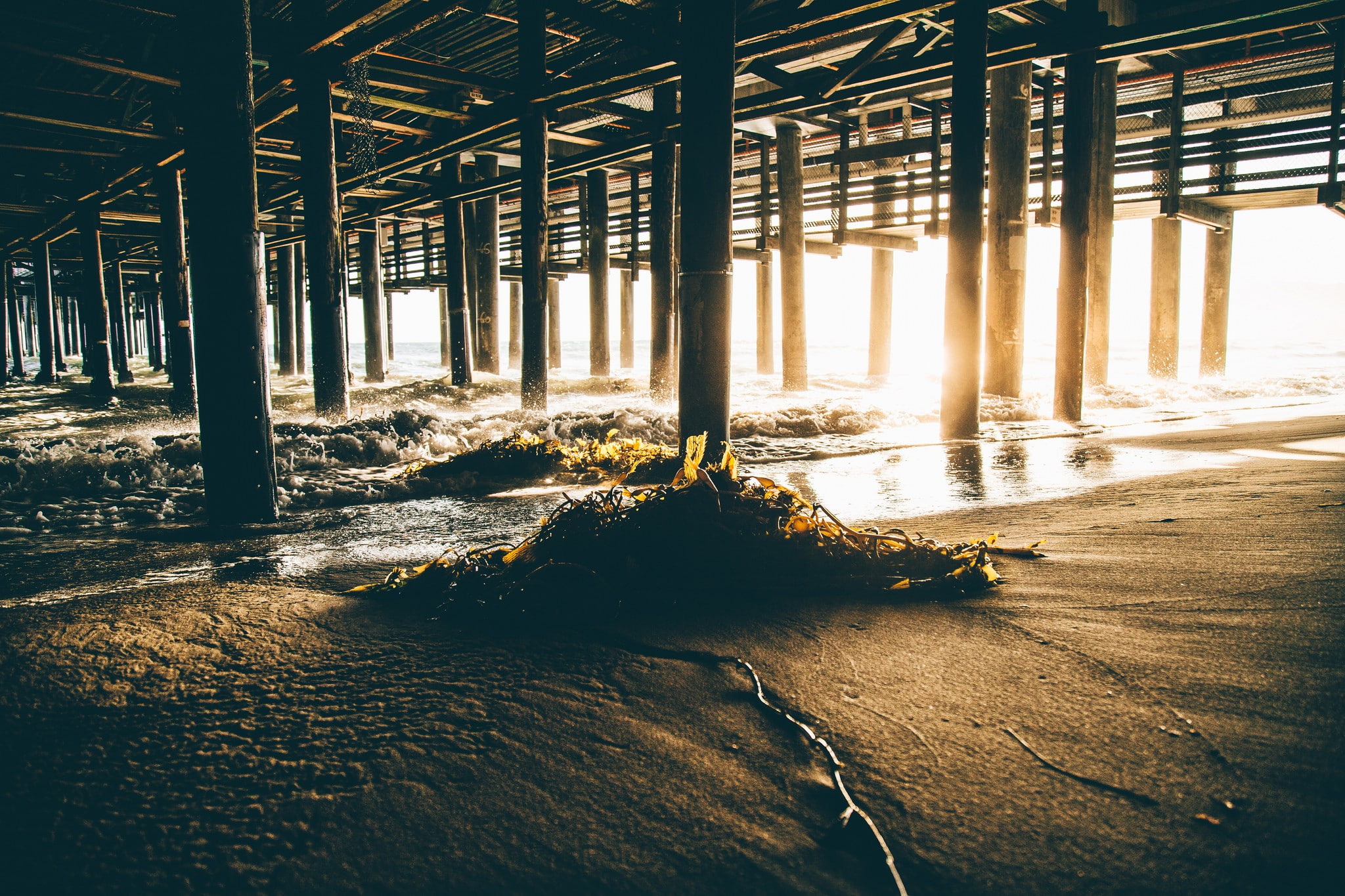 sunlight, California, sand, seaweed, 1080P, sunset, pier, beach, HD Wallpaper