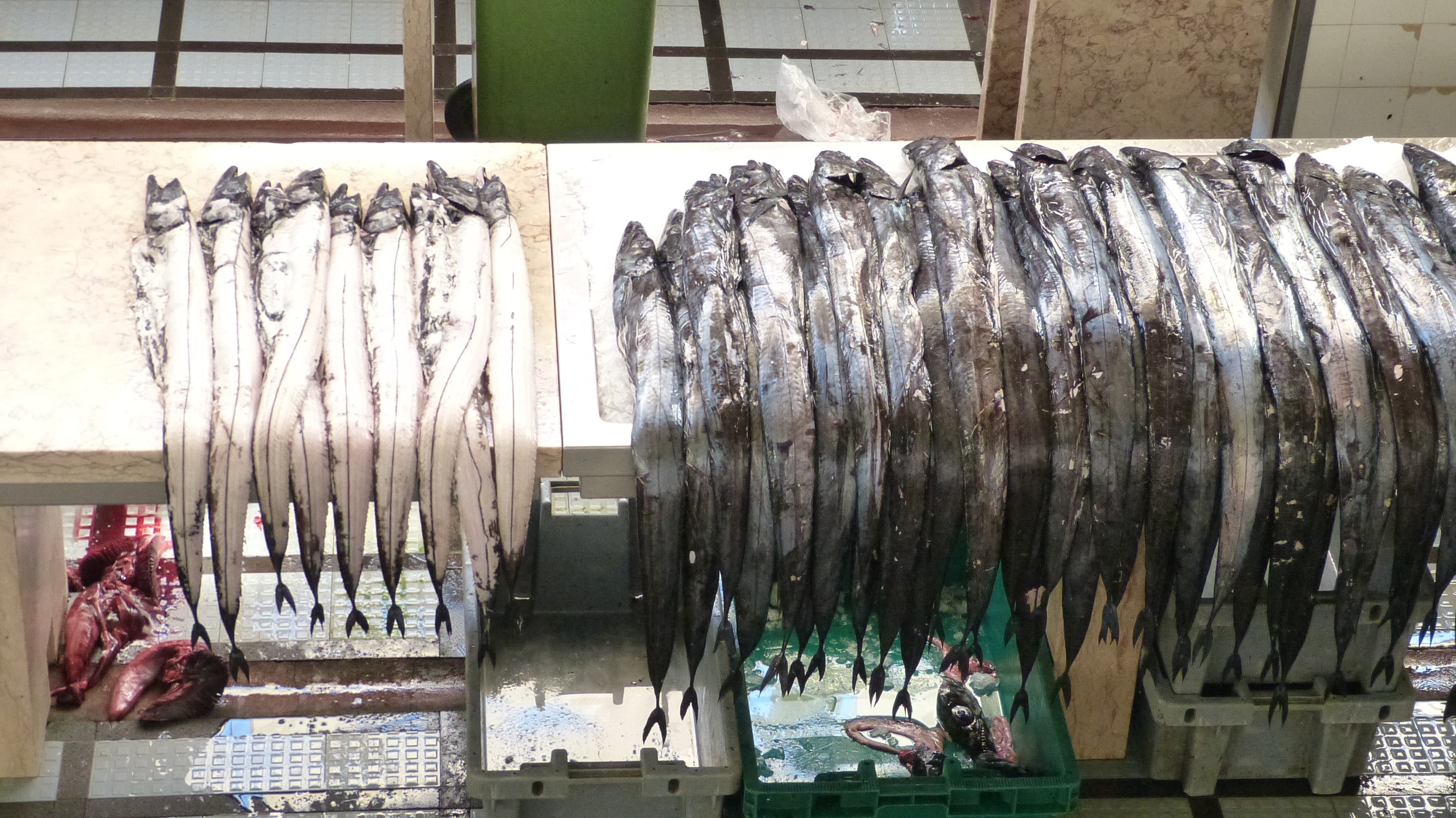 vertebrate, business, freshness, for sale, food, seafood, 4K, madeira, animal, sale, fish, fishing, occupation, fishing industry, scabbard fish, large group of objects, HD Wallpaper