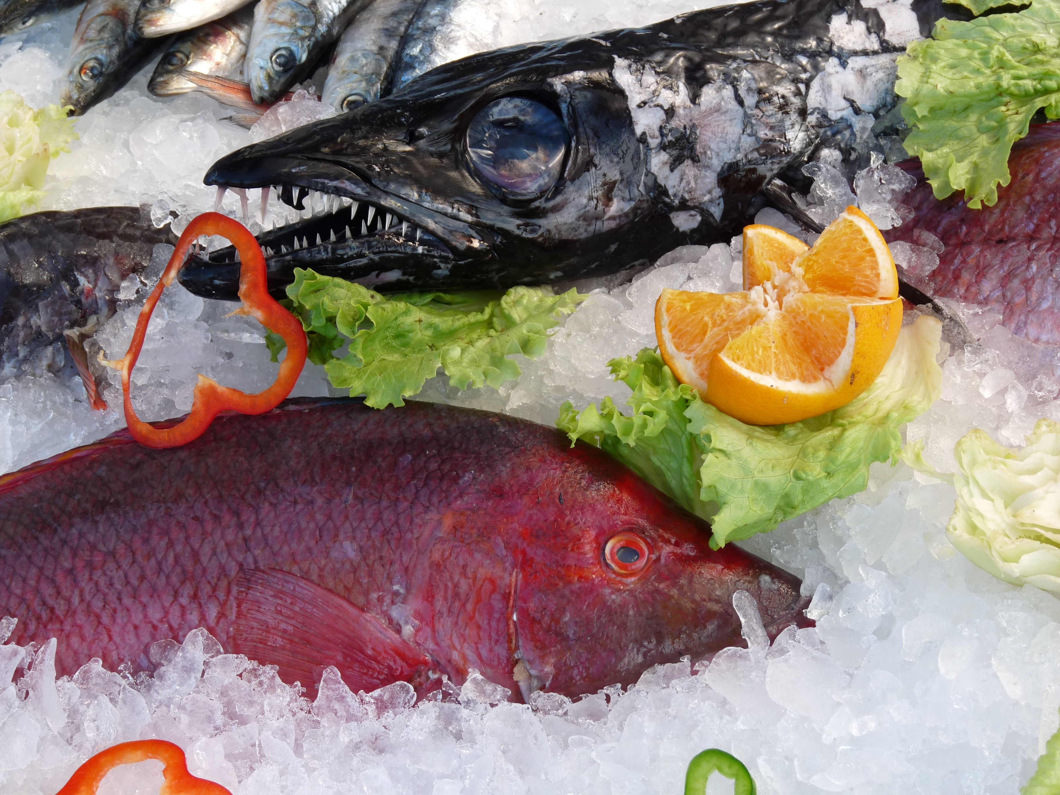 crushed ice, black, orange, two, portugal, no people, food, red, lemon, fish, vertebrate, freshness, salad, raw food, cold temperature, fishes, for sale, HD Wallpaper