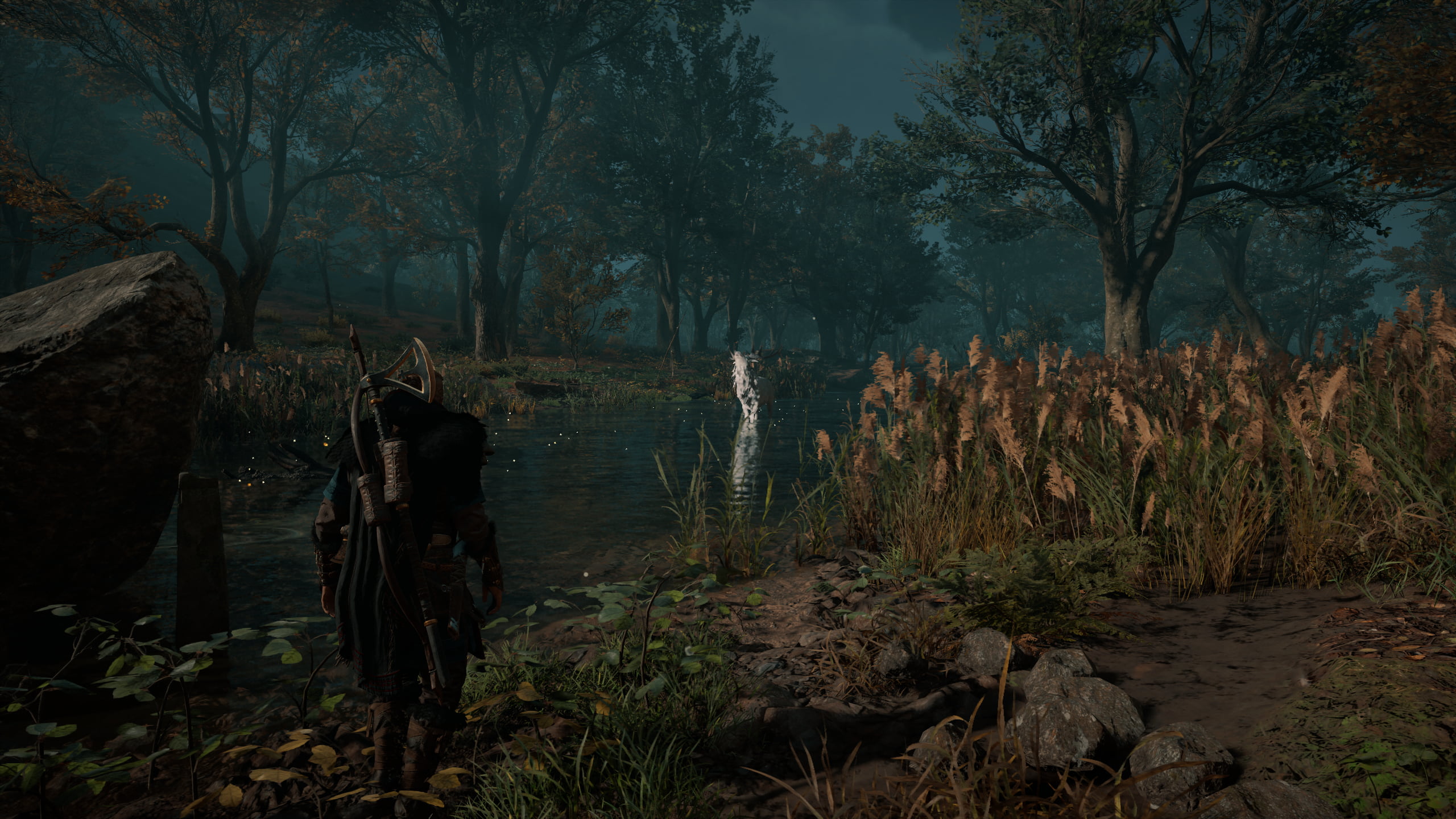 Assassins Creed: Valhalla, 2K, Eivor, viking, HD Wallpaper