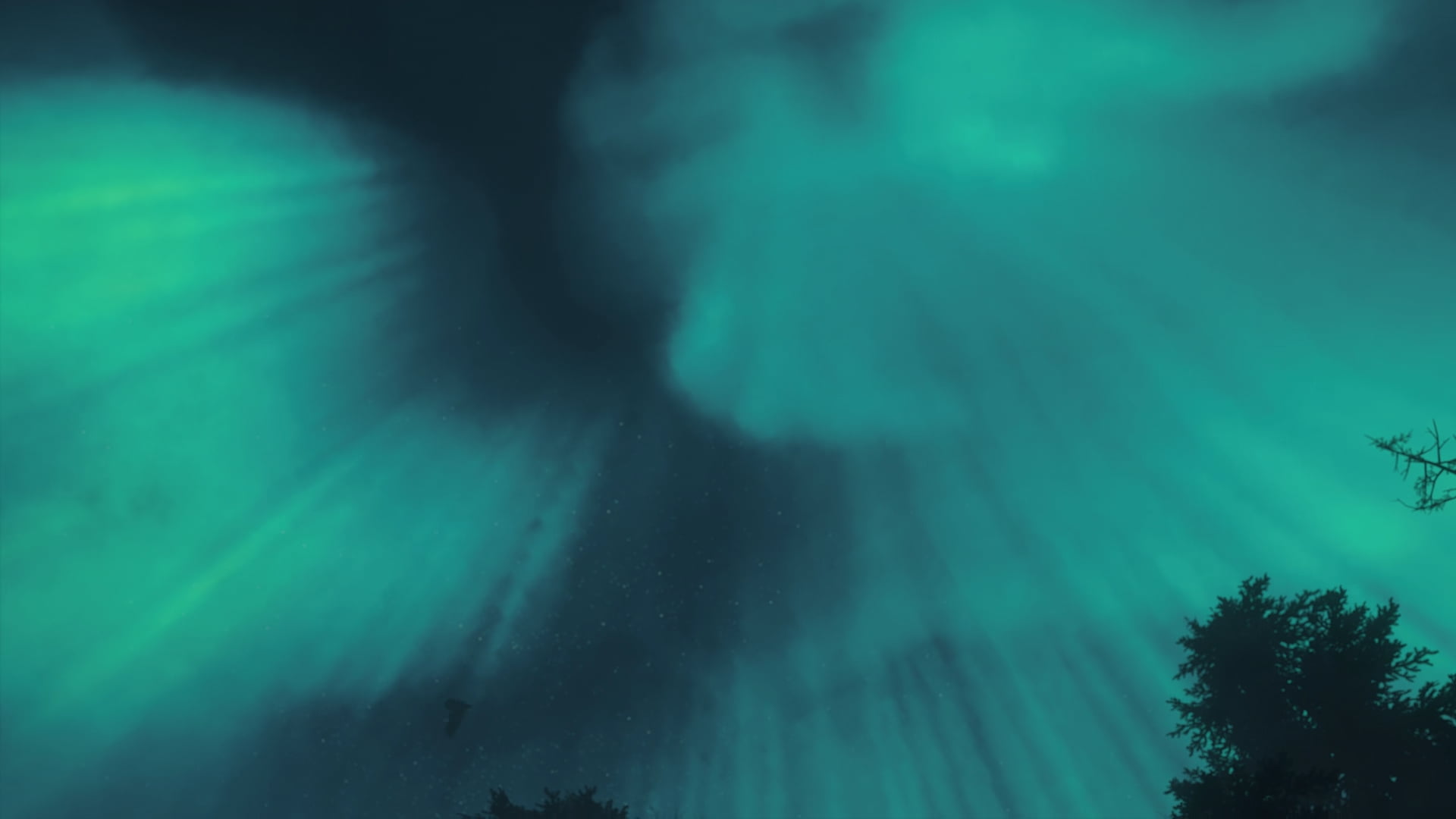 viking, valhalla, 1080P, Assassins Creed: Valhalla, colorful, Eivor, screen shot, in-game, HD Wallpaper