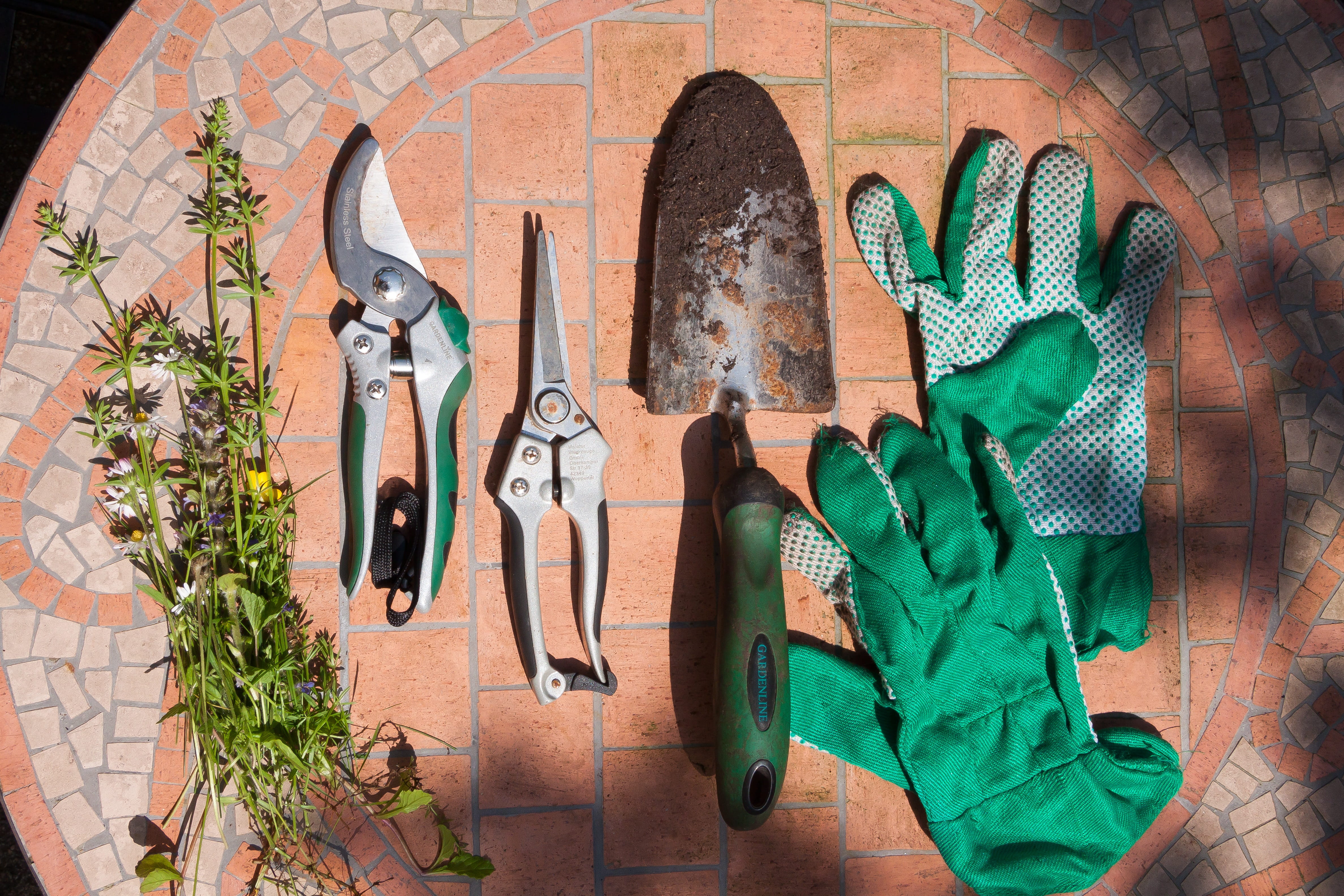 tools, no people, pointed flower, adult, in a row, bouquet, gardening tools, pliers, gardener, workshop, garden, variation, clothing, still life, steel, HD Wallpaper