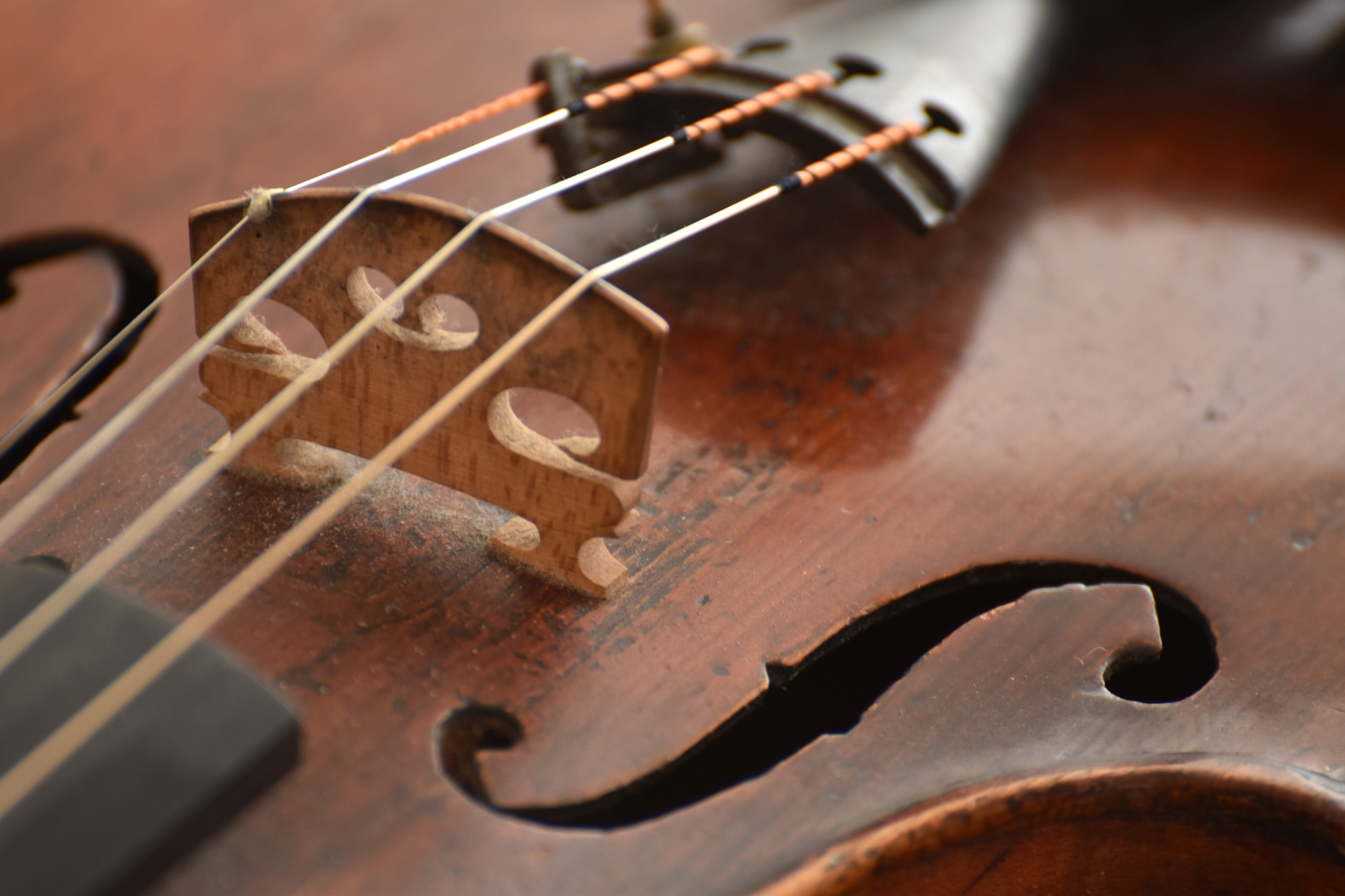 string, string instrument, no people, musical equipment, 5K, arts culture and entertainment, wood, hand saw, strings, music, single object, broken, instrument, HD Wallpaper