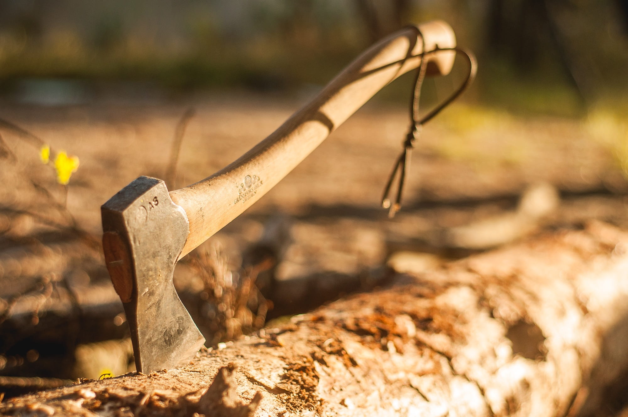 wood - material, 1080P, sharp, axe, close-up, top, tool, steel, old, no people, hand tool, nature, outdoors, hand saw, camping, knife - weapon, selective focus, HD Wallpaper