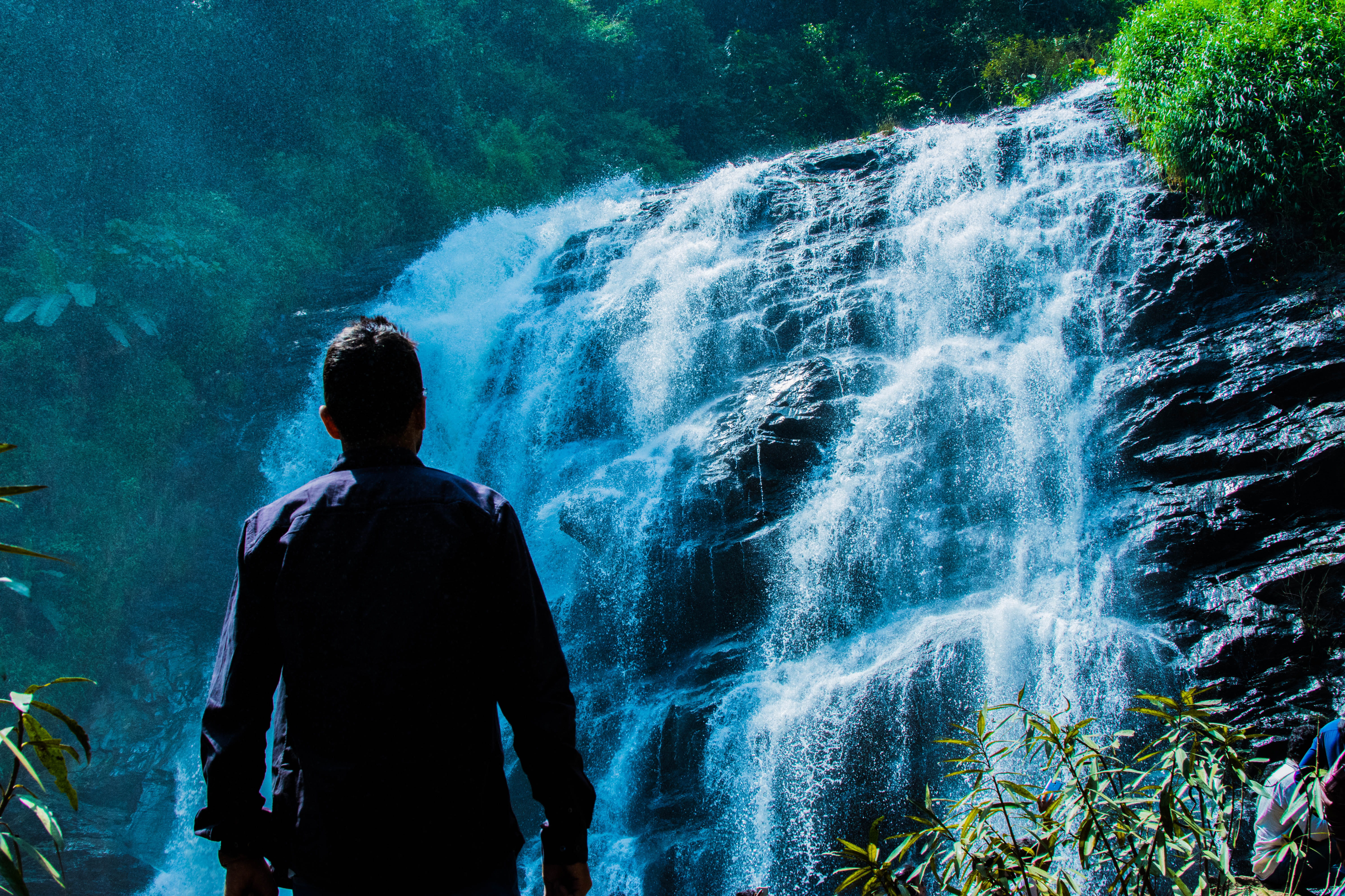 lifestyles, power in nature, water, motion, flowing water, waterfalls, india, waterfall, hebbettageri, nature, looking at view, one person, abbi falls, HD Wallpaper