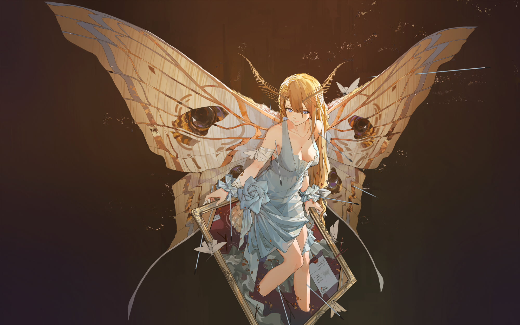 young women, butterfly, anime, Miv4t, adult, front view, three quarter length, one person, hairstyle, lifestyles, fashion, studio shot, costume, young adult, HD Wallpaper