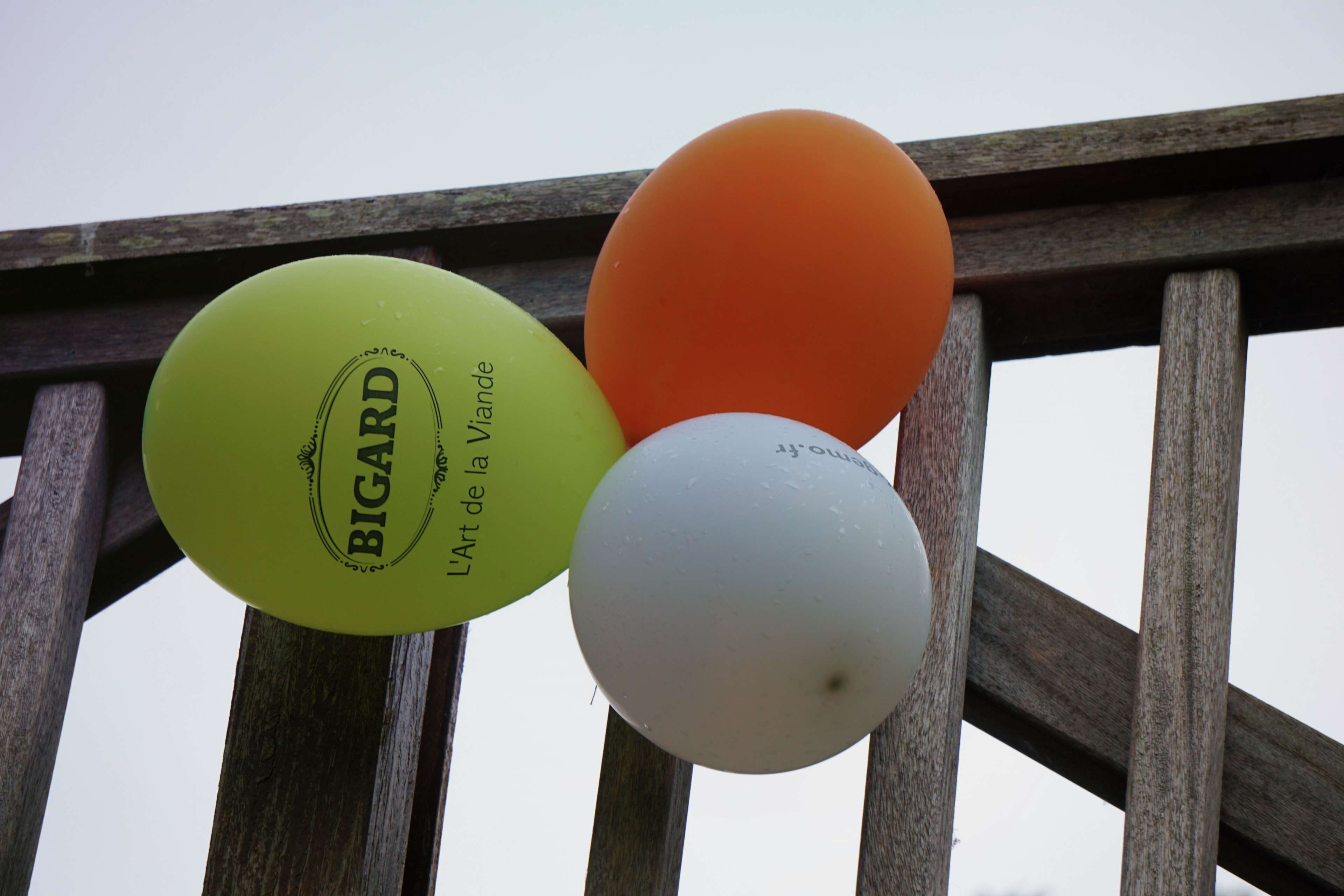 ballons, sky, low angle view, safety, metal, clear sky, green color, text, railing, jeux, outdoors, no people, nature, pole, air, enfants, orange color, HD Wallpaper