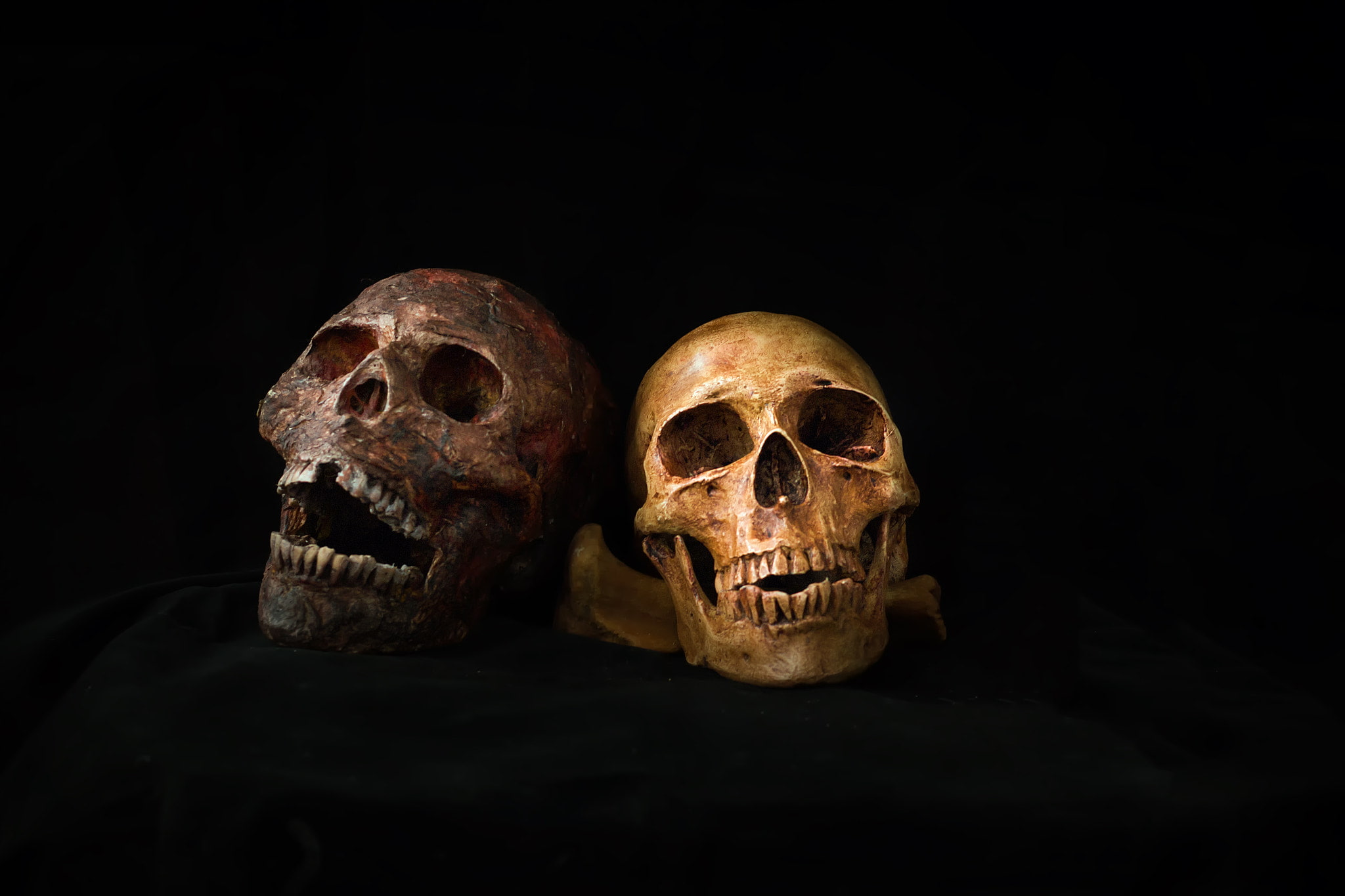 skeleton, fear, bone, skull, human skull, 1080P, black background, dark, human body part, aggression, horror, human face, spooky, copy space, indoors, HD Wallpaper