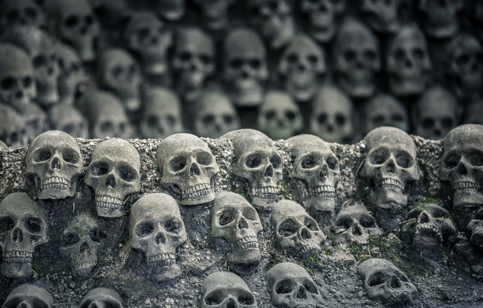 history, representation, sculpture, skull, human skeleton, male likeness, bones, art and craft, the past, focus on foreground, large group of objects, close-up, HD Wallpaper