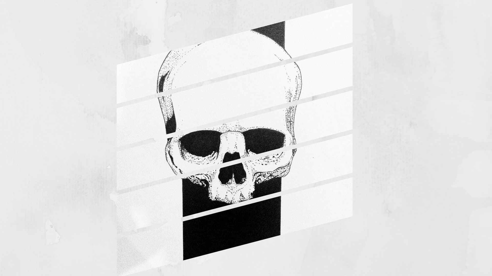 creativity, nature, close-up, skull and bones, hanging, fear, no people, white color, skull, indoors, architecture, wall - building feature, wall, shape, HD Wallpaper
