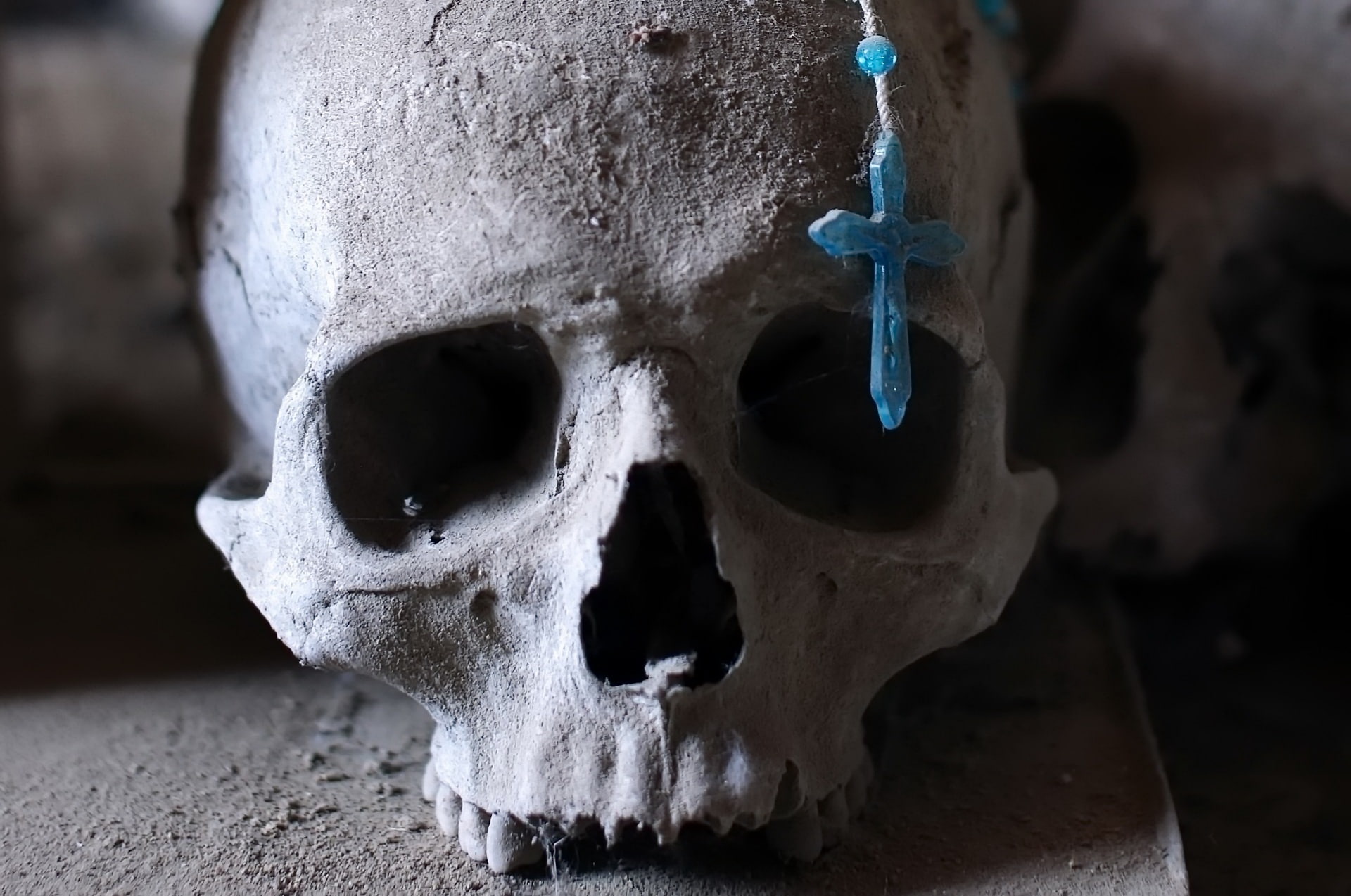 skeleton, healthcare and medicine, human skull, human bone, focus on foreground, fear, spooky, indoors, horror, body part, bones, skull, cross, anatomy, HD Wallpaper