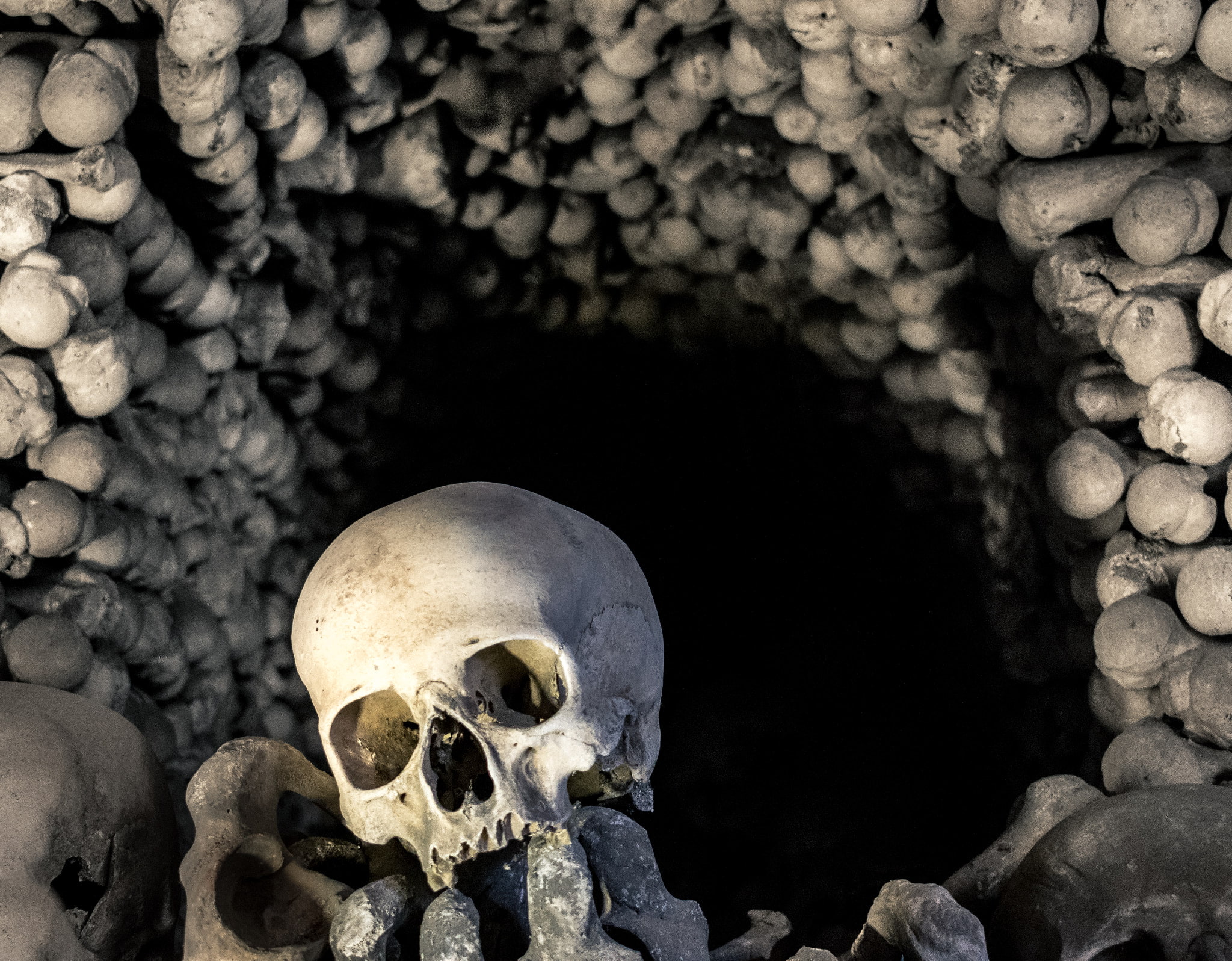 spooky, the past, body part, indoors, history, human skull, human skeleton, human bone, bones, mystery, skull, skeleton, close-up, horror, fear, still life, HD Wallpaper