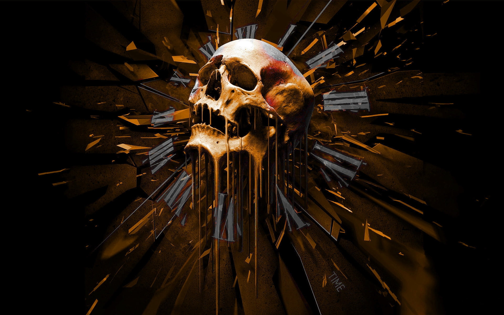 brown, skull, photo, cranium, time, art, 1080P, picture, HD Wallpaper