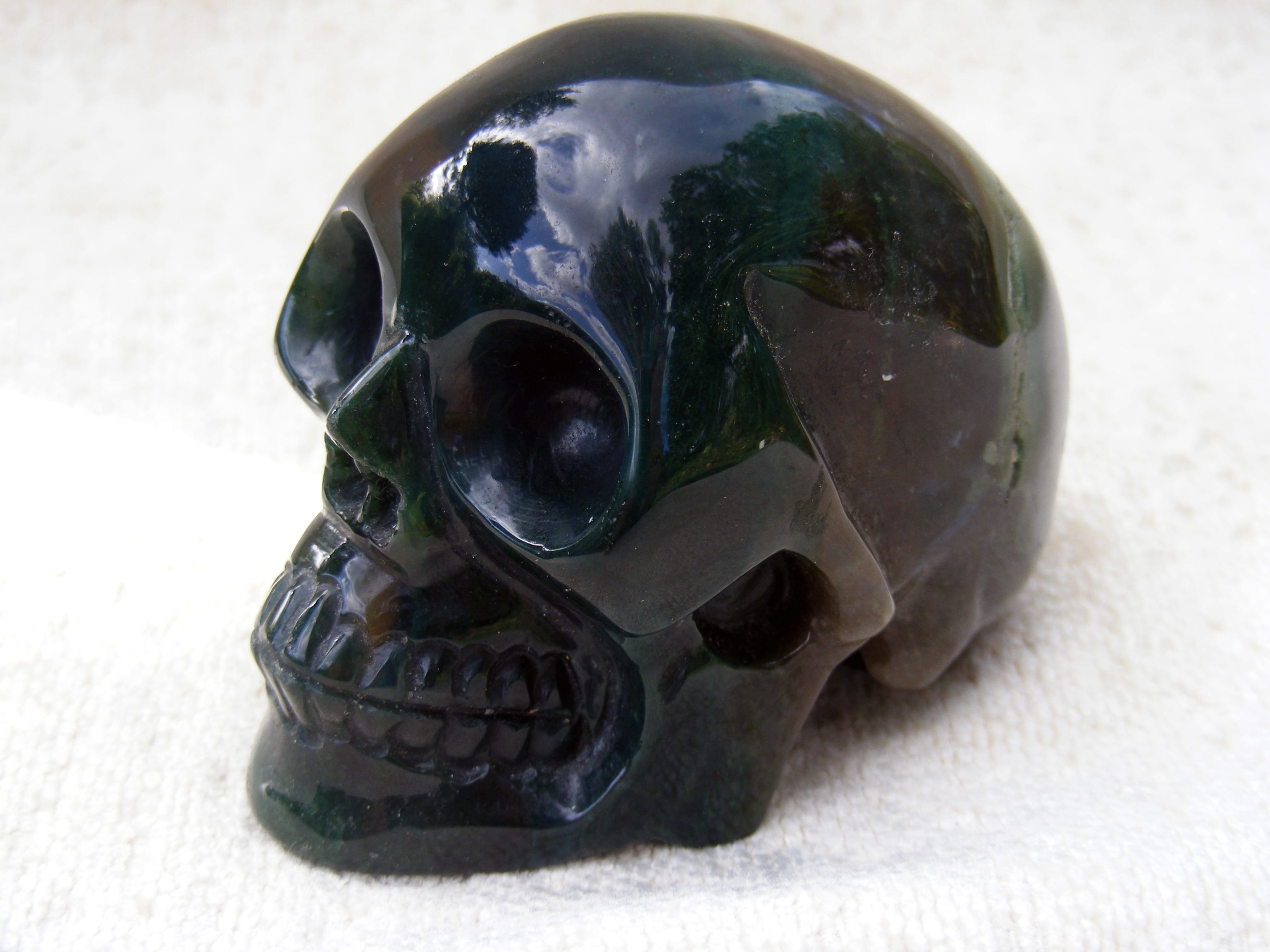 art and craft, minerals, turtle, agate, black, nature, textile, skull, human skeleton, death, one animal, dead, representation, white, creativity, indoors, HD Wallpaper
