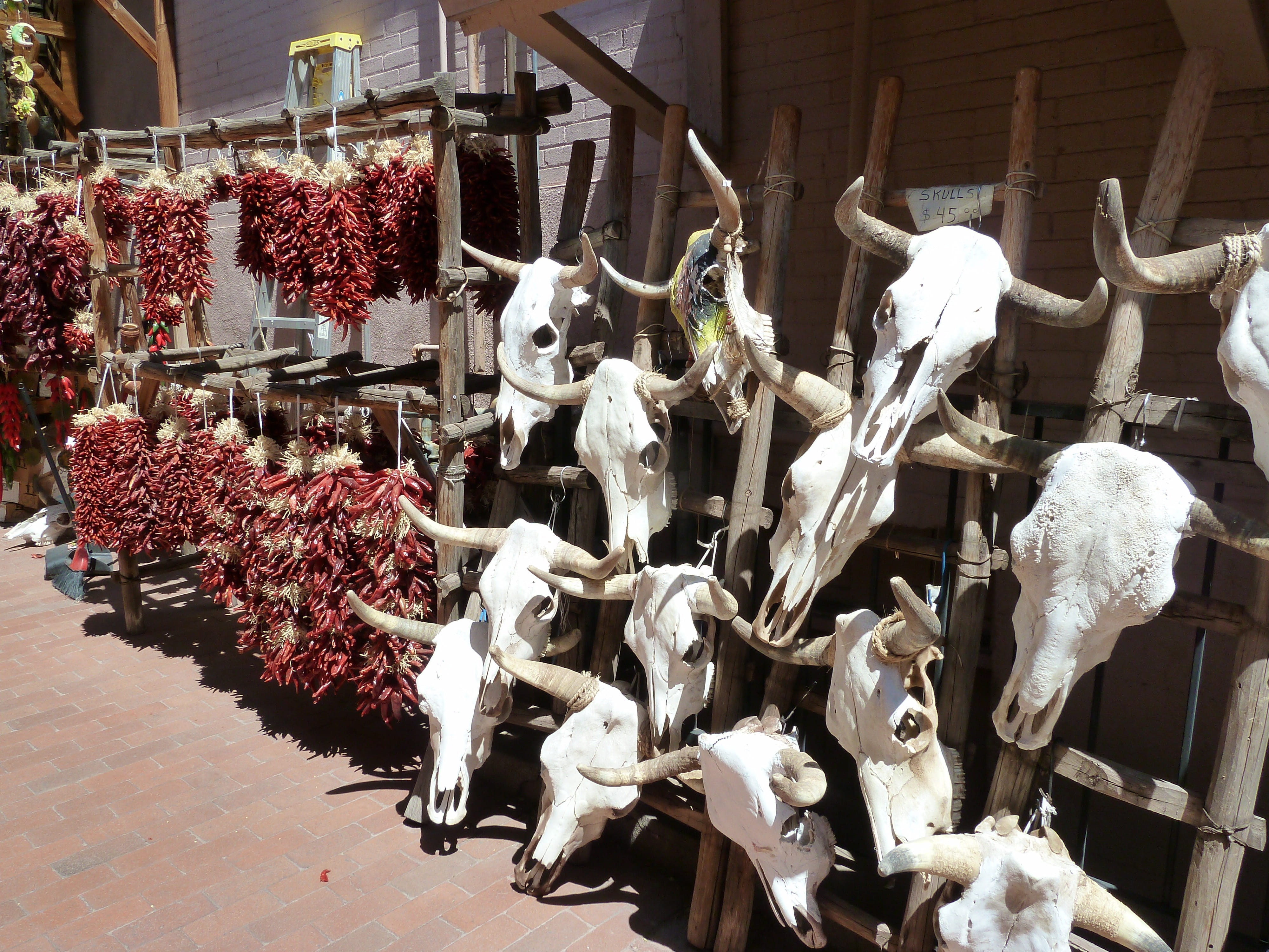 large group of objects, day, lot, dead, cranium, nature, decoration, art and craft, skull, Bone, horned, retail display, Skulls, market, anatomy, for sale, HD Wallpaper