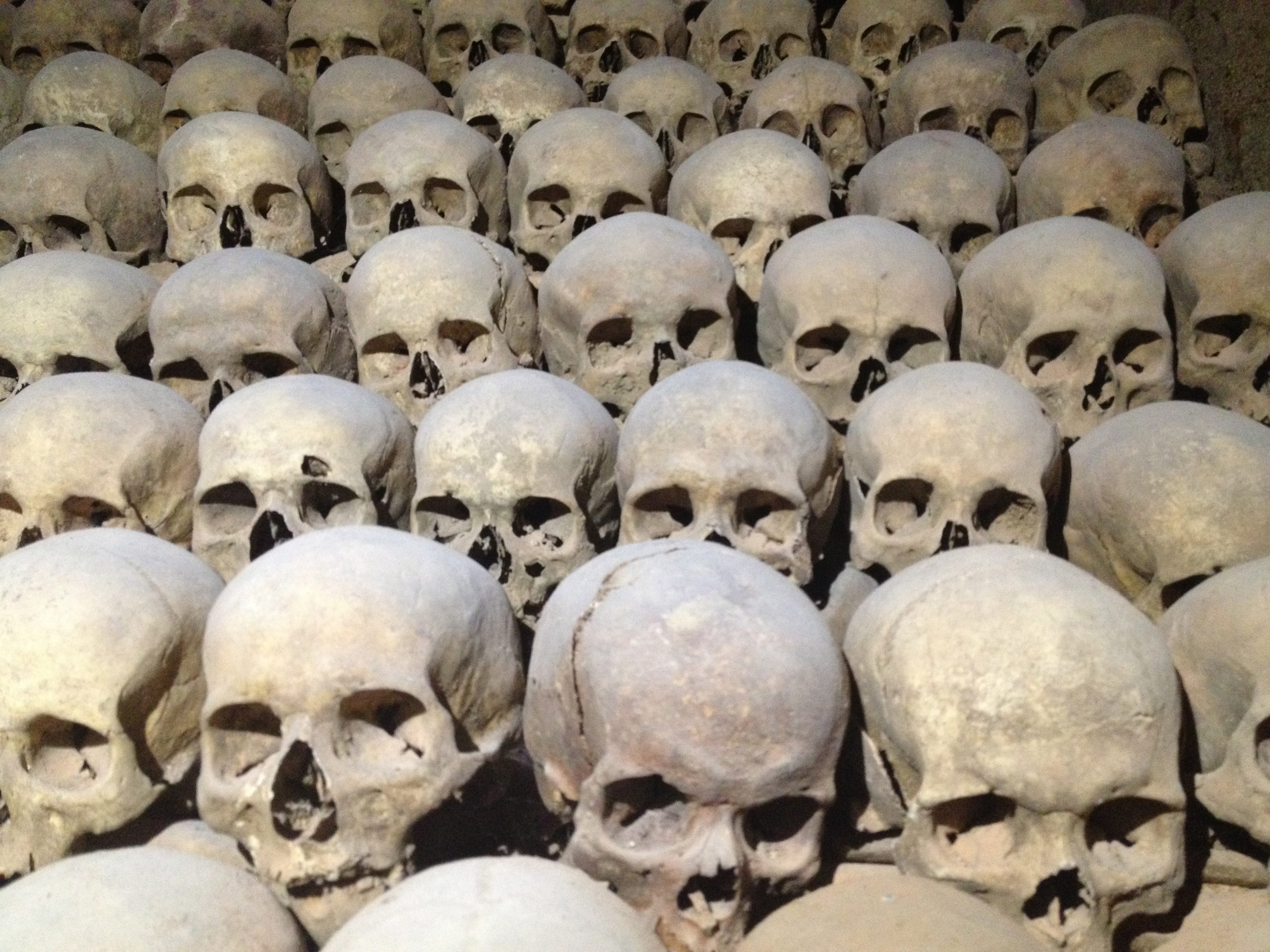 tomb, ossuary, architecture, brno, cemetery, skeleton, skull, abundance, 2K, history, grave, in a row, historical, human skeleton, charnel-house, full frame, HD Wallpaper