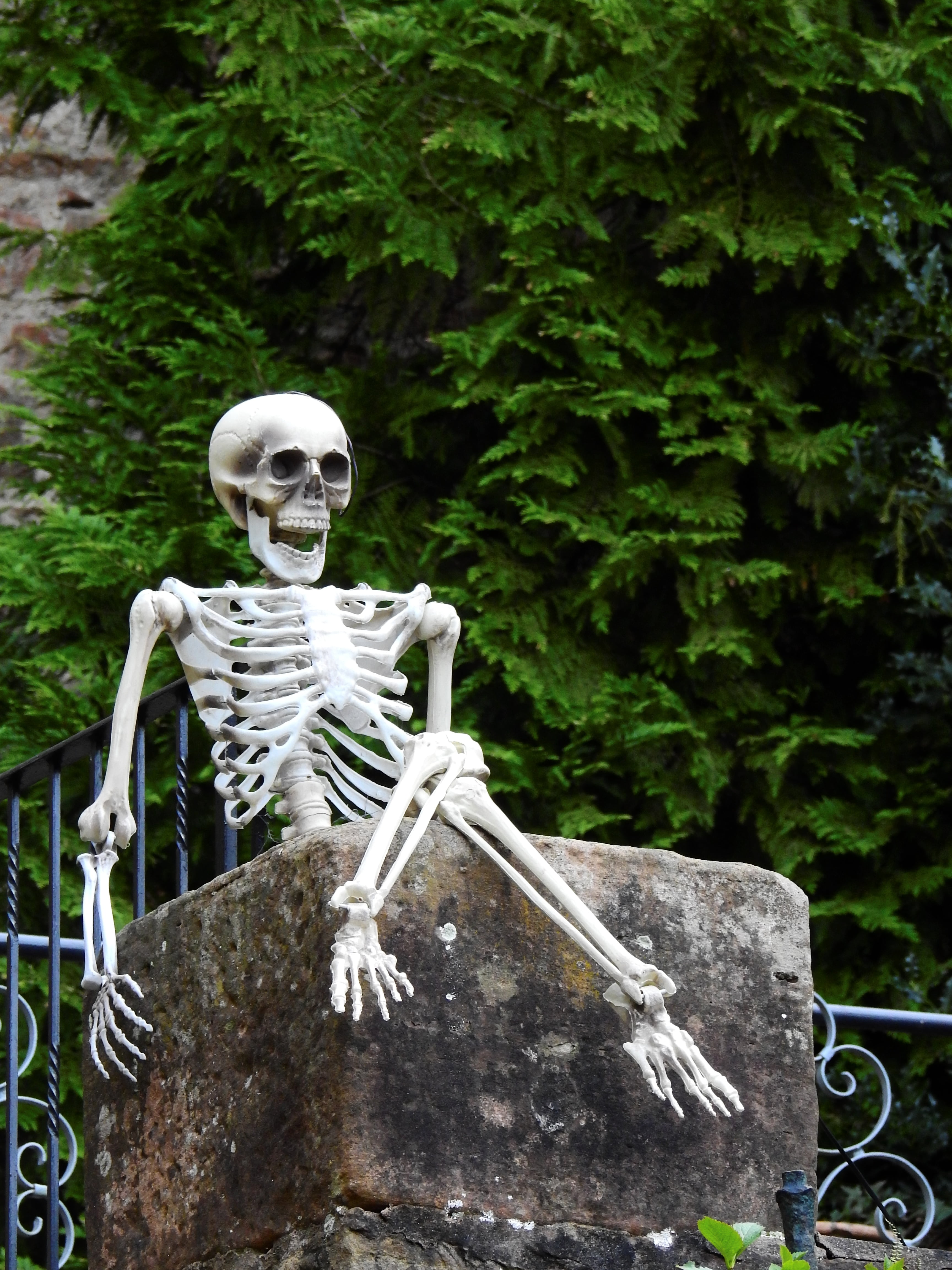 day, bizarre, outdoors, art, shudder, human representation, helloween, bone, plant, human bone, death, statue, nature, the past, human skeleton, human skull, Phone HD Wallpaper