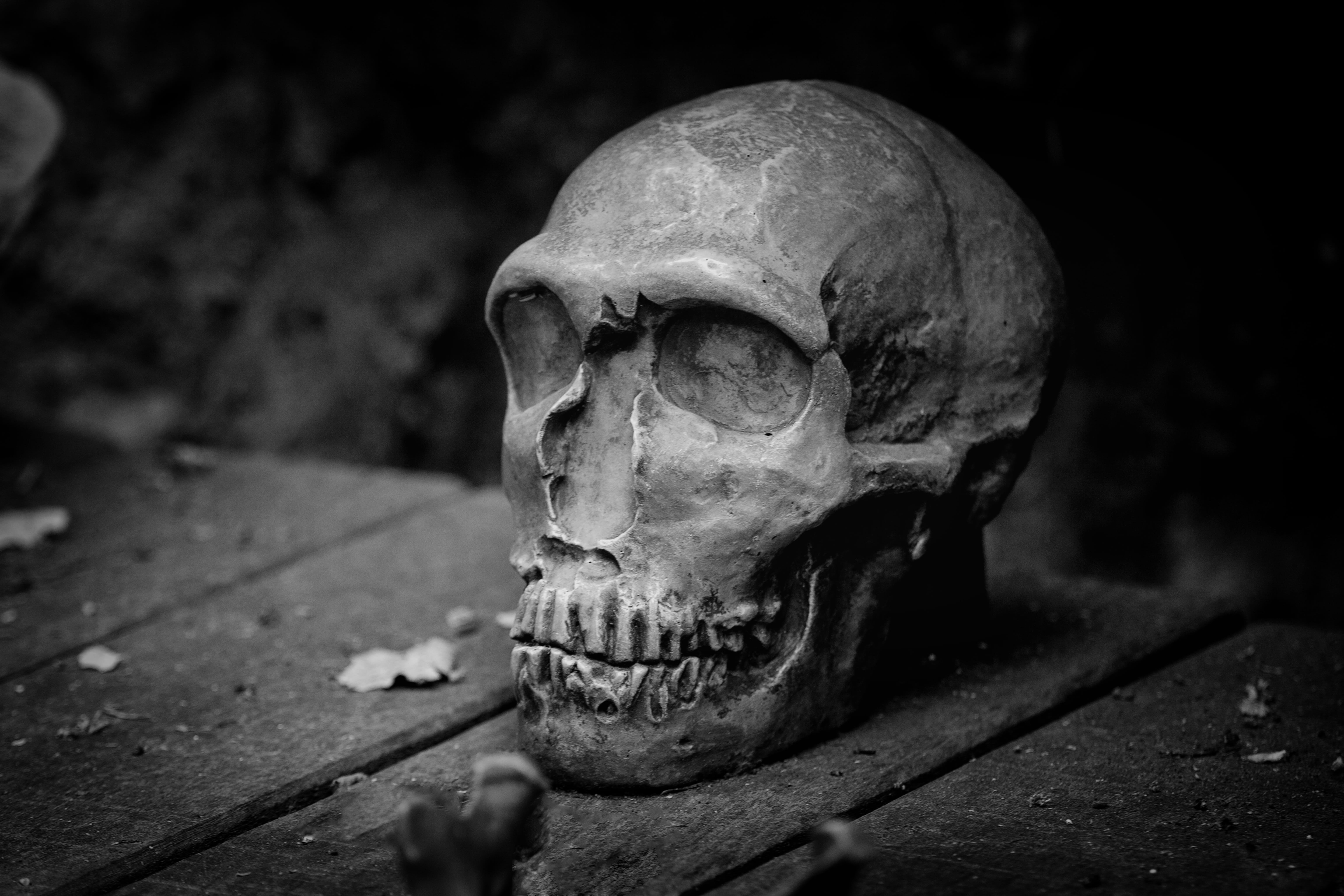 skeleton, craft, stone sculpture, focus on foreground, mortal, skull bone, bone, human skull, cutter man, adult, weird, horror, 5K, bw, one man only, figure, HD Wallpaper