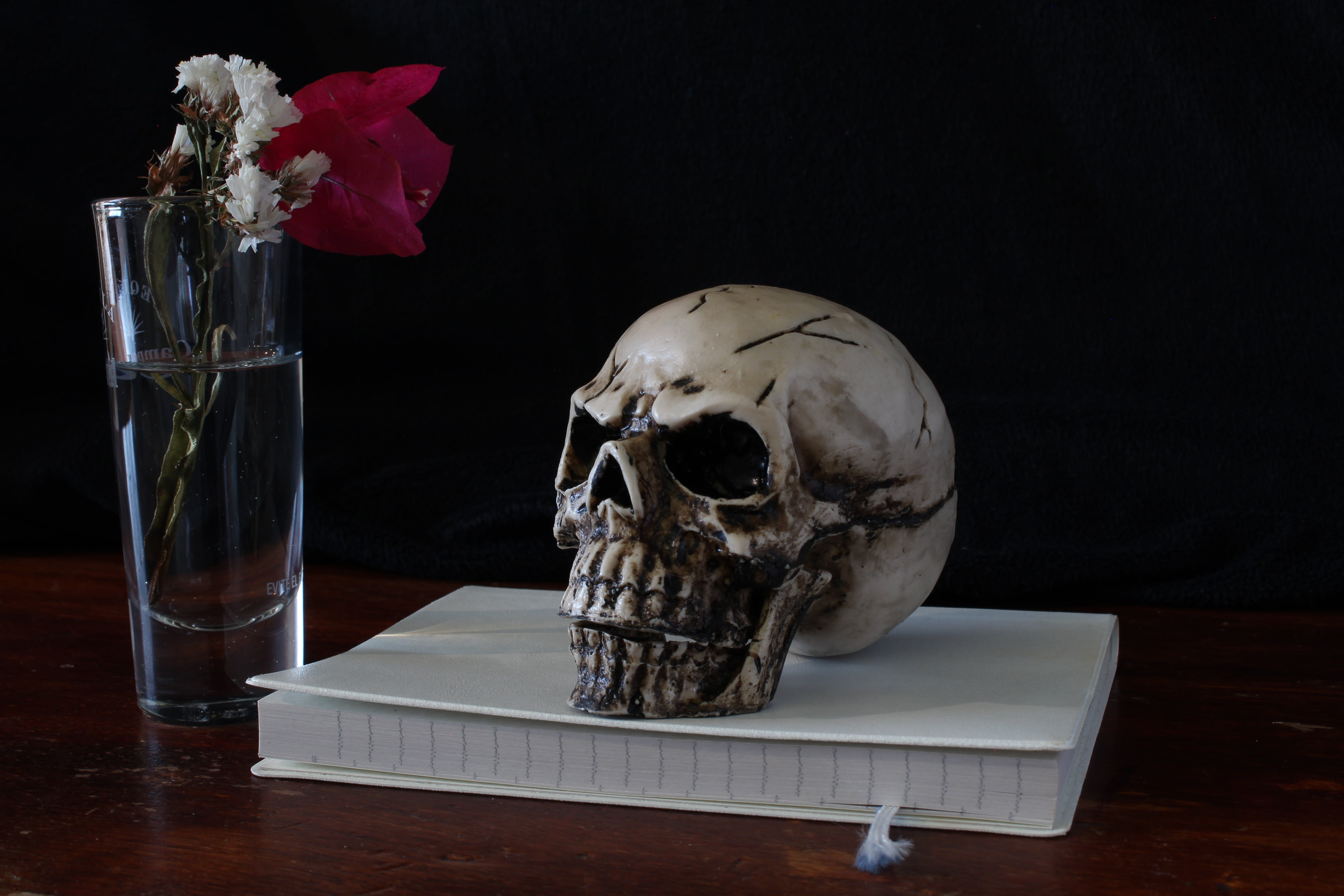 spooky, death, human body part, figurine, 5K, human skeleton, horror, studio shot, human skull, plant, halloween, night, top, composition, vase, skeleton, HD Wallpaper