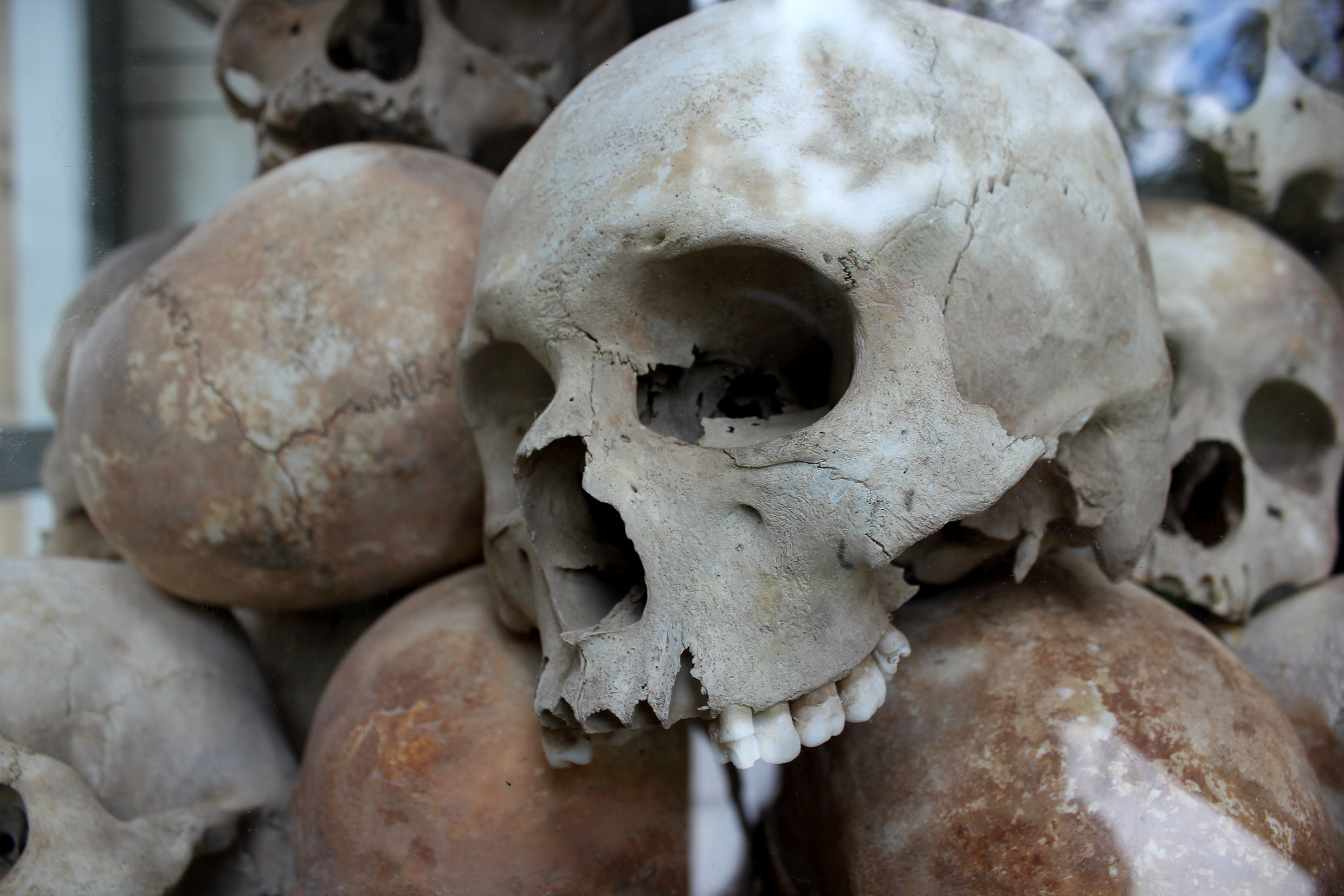 religion, people, human Skull, close-up, fear, skeleton, grave, bone, the past, dead, mass, horror, architecture, killing, stack, 1080P, human, death, HD Wallpaper