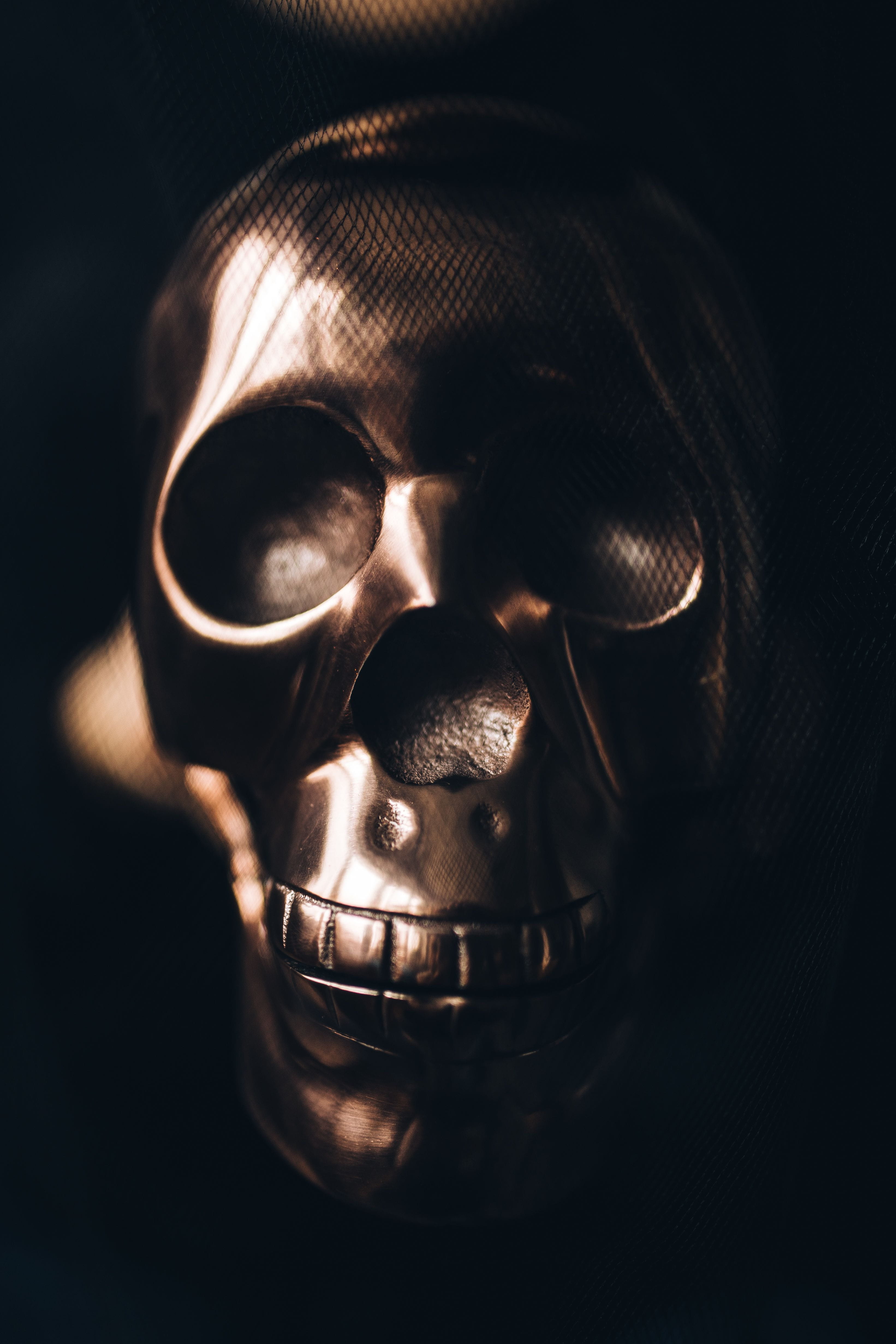 human bone, sign, indoors, autumn, black background, decorations, warning sign, 4K, Halloween, close-up, one man only, mystery, studio shot, human skeleton, Phone HD Wallpaper