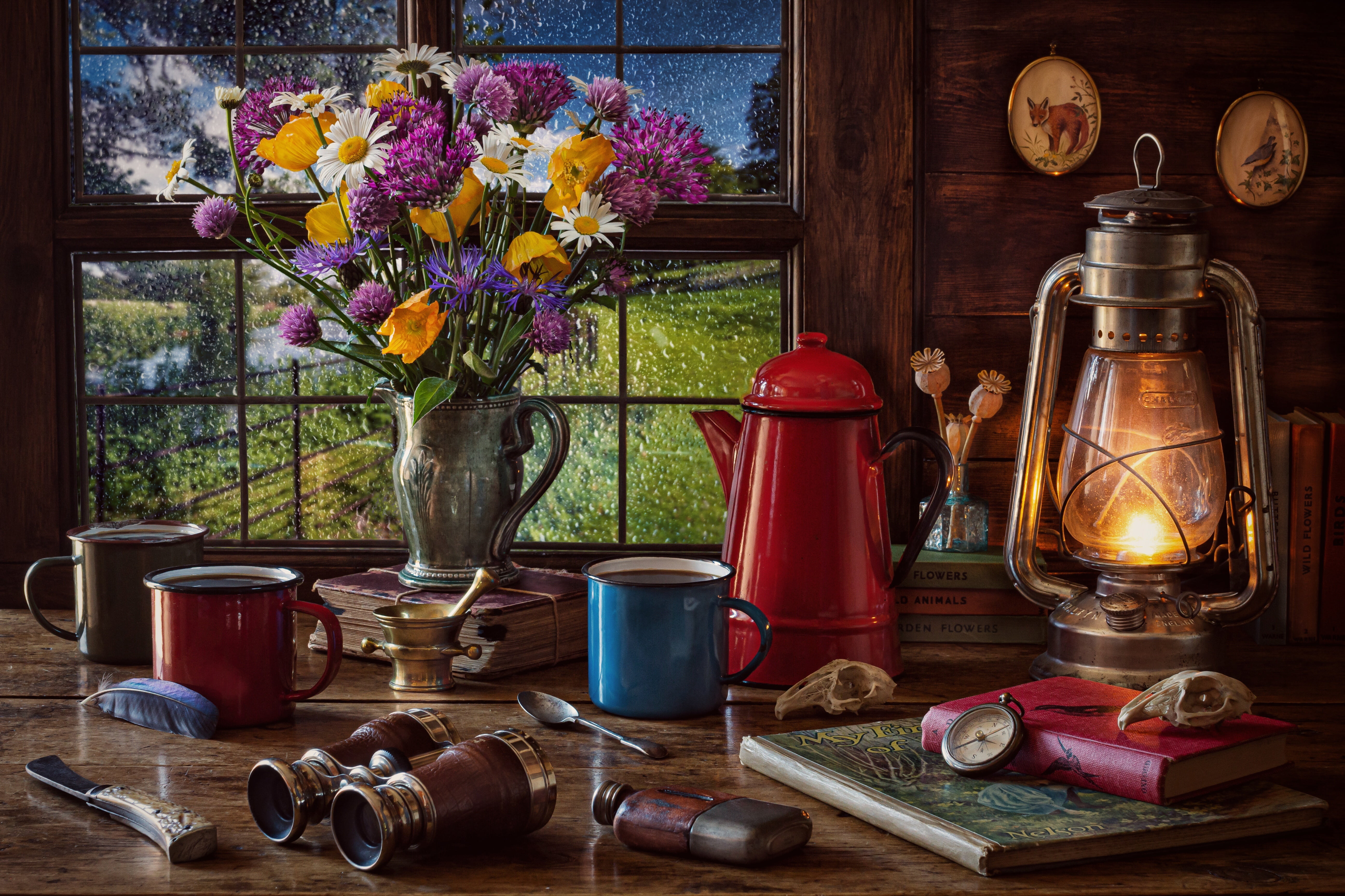 mugs, compass, lantern, style, bouquet, flowers, window, 5K, still life, books, binoculars, coffee pot, HD Wallpaper
