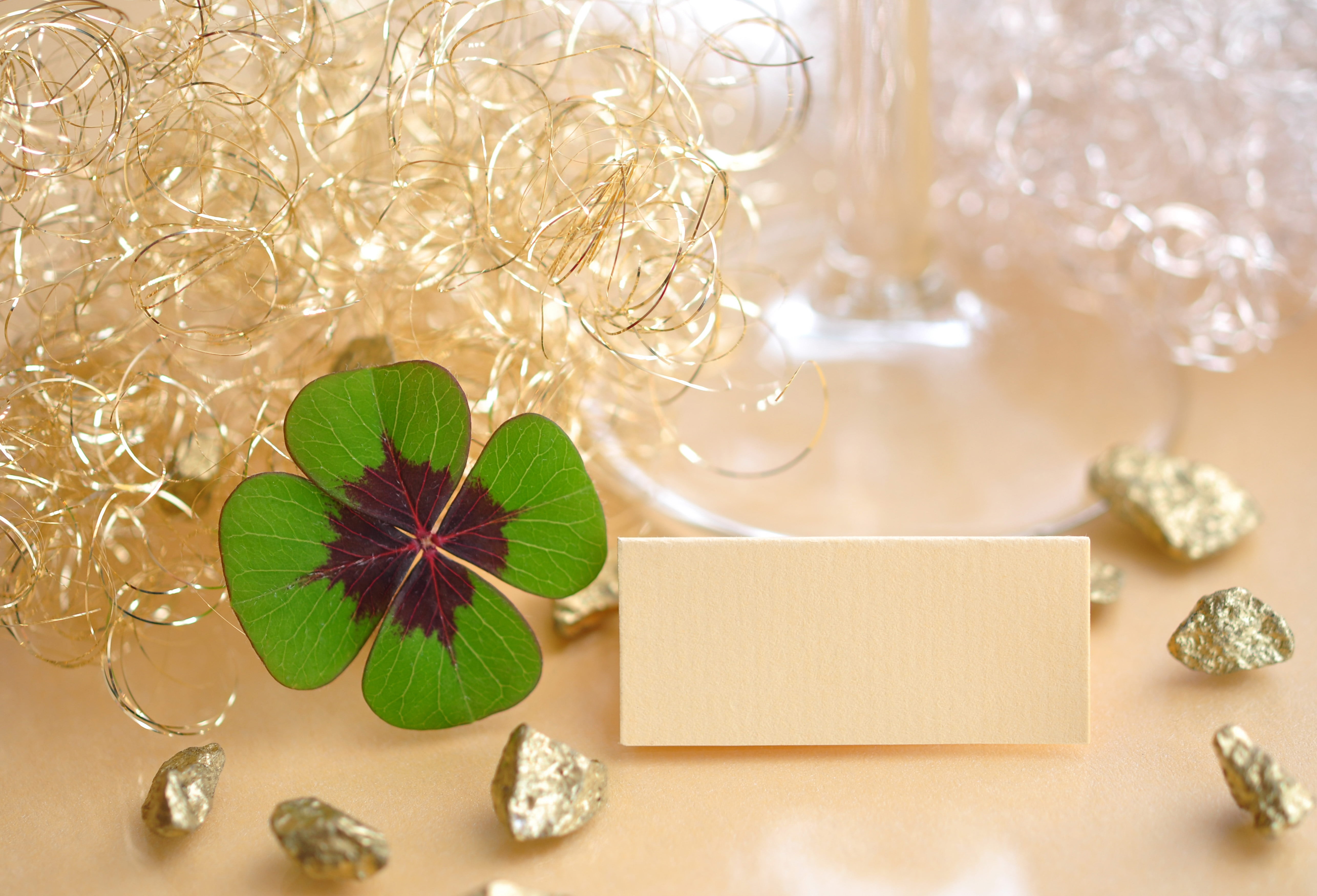celebration, plate, greeting Card, plant, table, colored, close-up, accessories, 5K, silver, christmas, season, container, christmas decoration, no People, HD Wallpaper