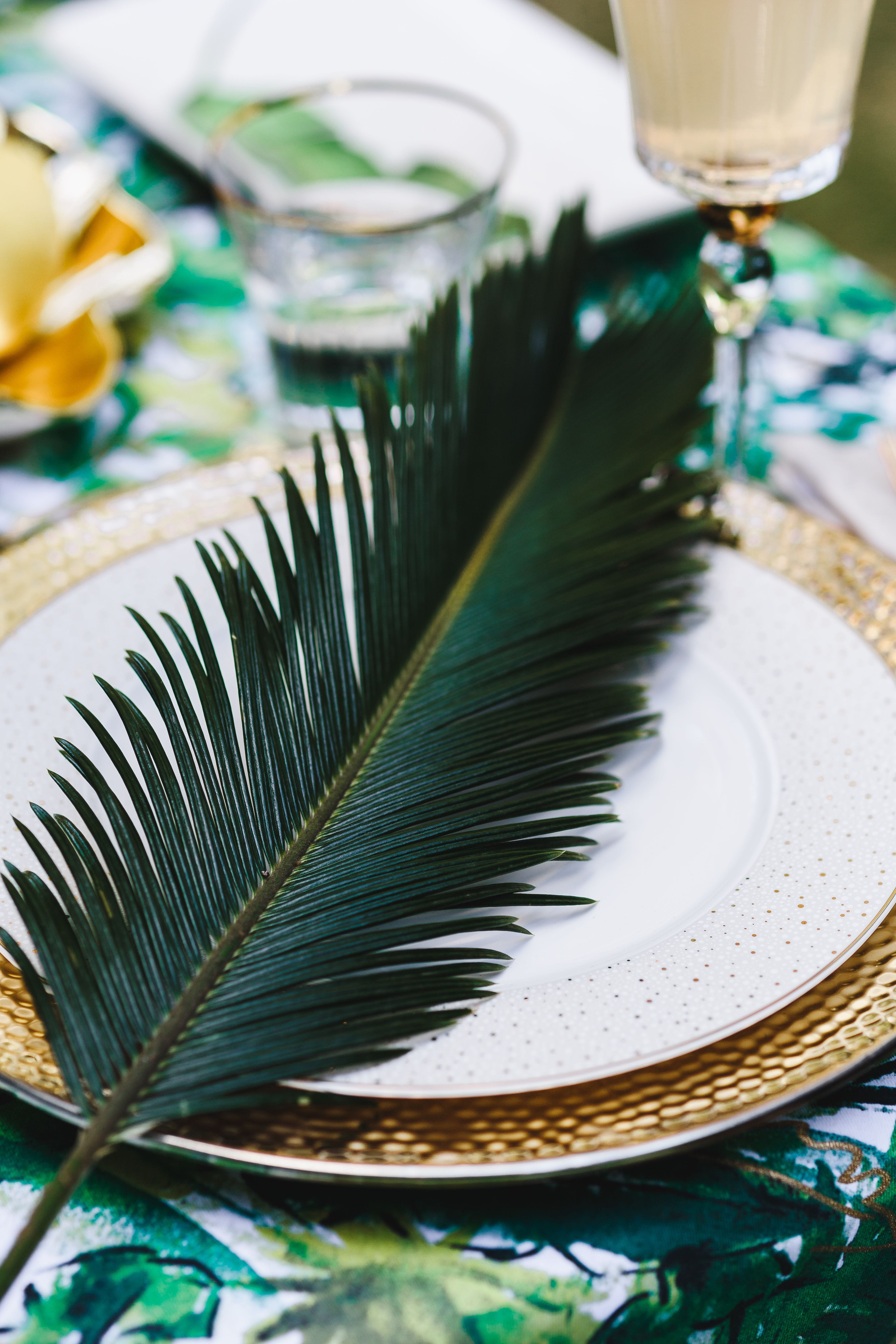 studio shot, party, Exotic, garden party, Table, still life, household equipment, table set, flowers, feather, summer, glass, indoors, nature, no people, Phone HD Wallpaper