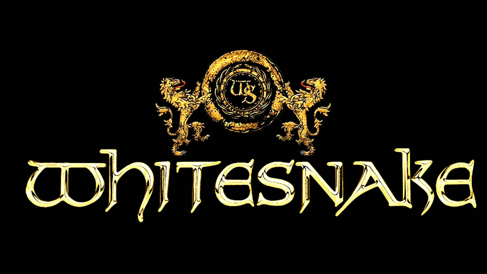 metal, hard, hair, 1080P, poster, rock, whitesnake, heavy, HD Wallpaper
