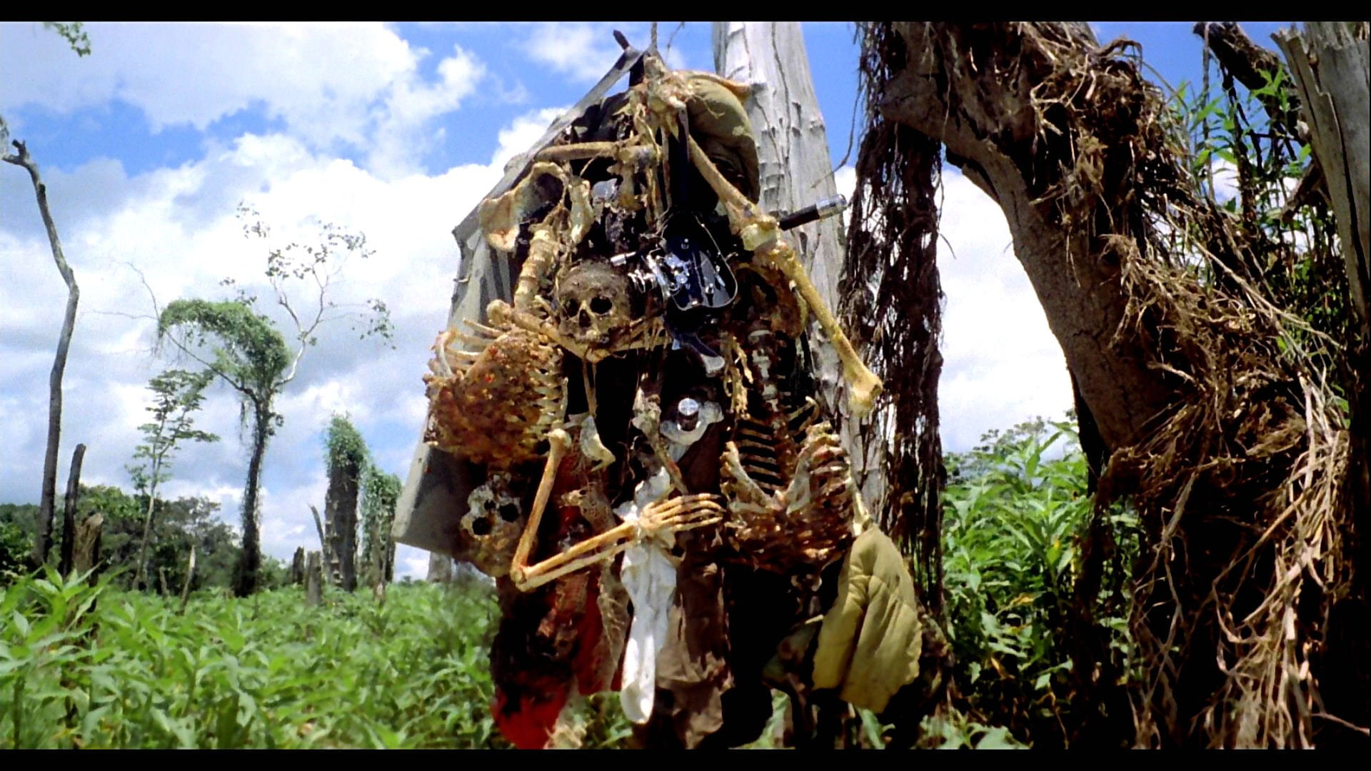 adventure, dark, gore, cannibal, horror, skeleton, holocaust, skull, 1080P, HD Wallpaper