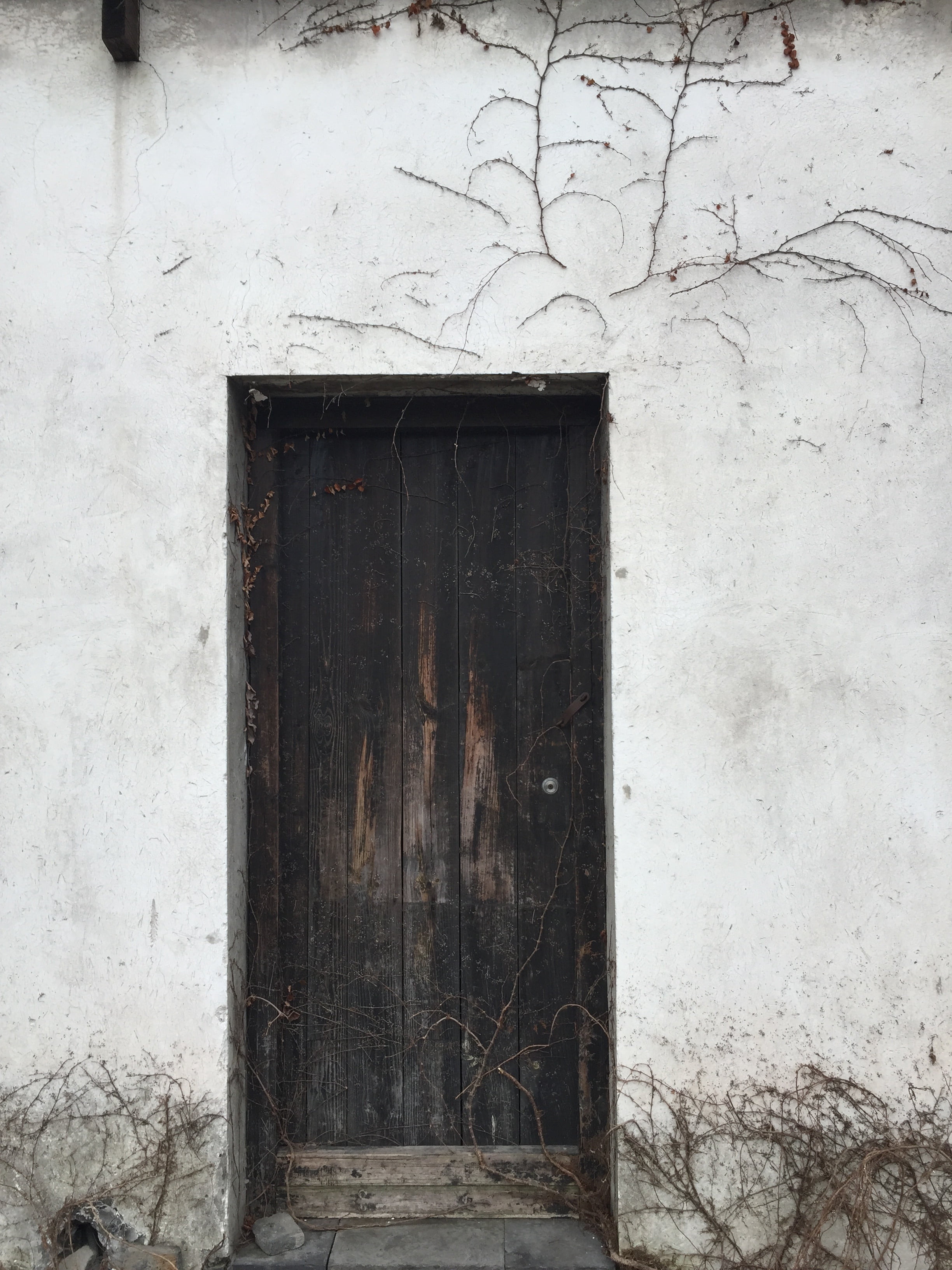 door, entrance, wood, dirty, no people, run-down, positive, weathered, white, outdoors, building, house, damaged, 2K, contrast, deterioration, wall - Building Feature, Phone HD Wallpaper