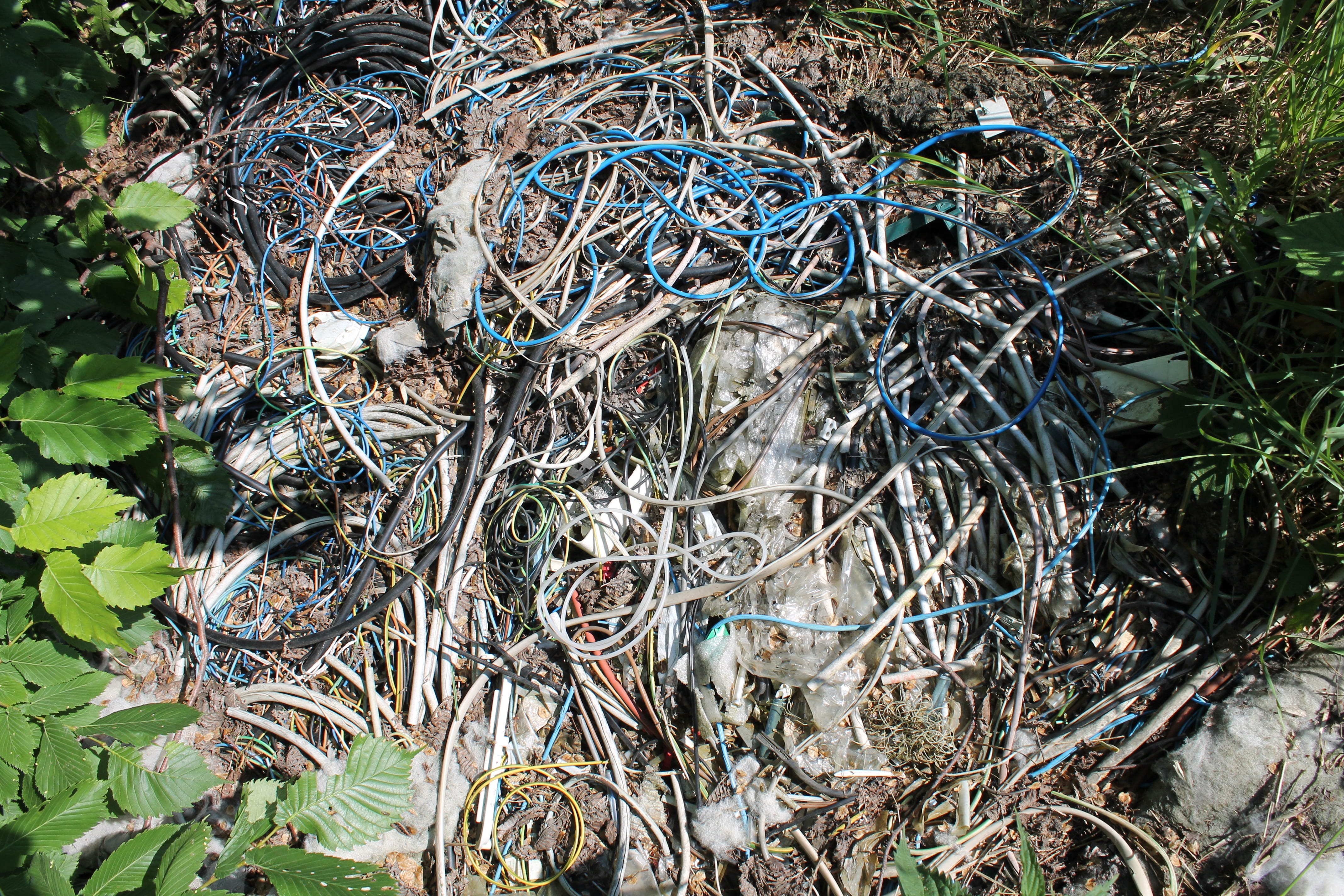 leaf, crime, plant part, dry, sunlight, cable thieves, day, messy, cable, plant, tree, high angle view, land, outdoors, tangled, no people, pollution, cannibalized, HD Wallpaper