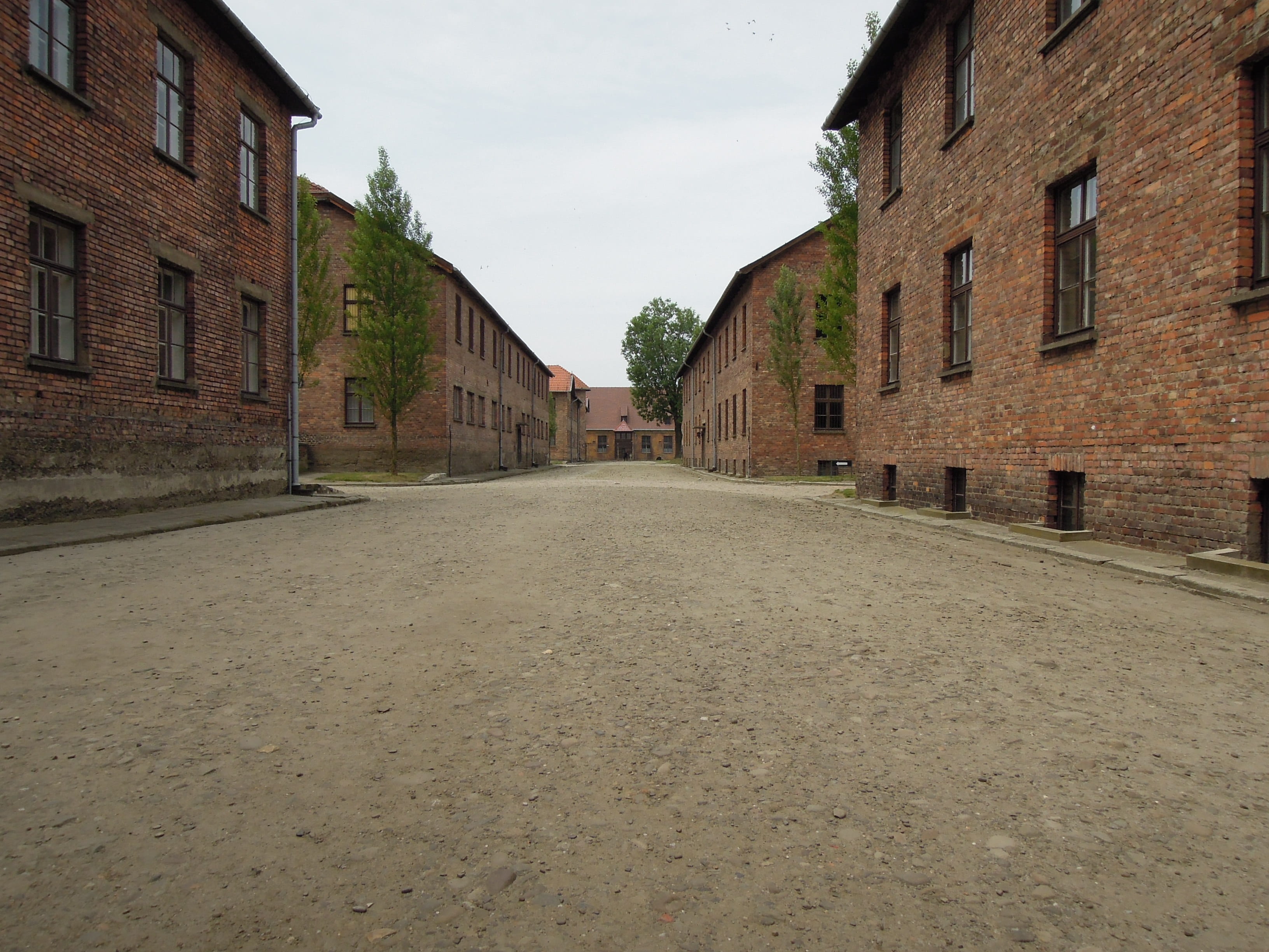 empty, residential district, Birkenau, diminishing perspective, wall, residential building, no people, polish, old, street, 2K, old building, houses, architecture, HD Wallpaper