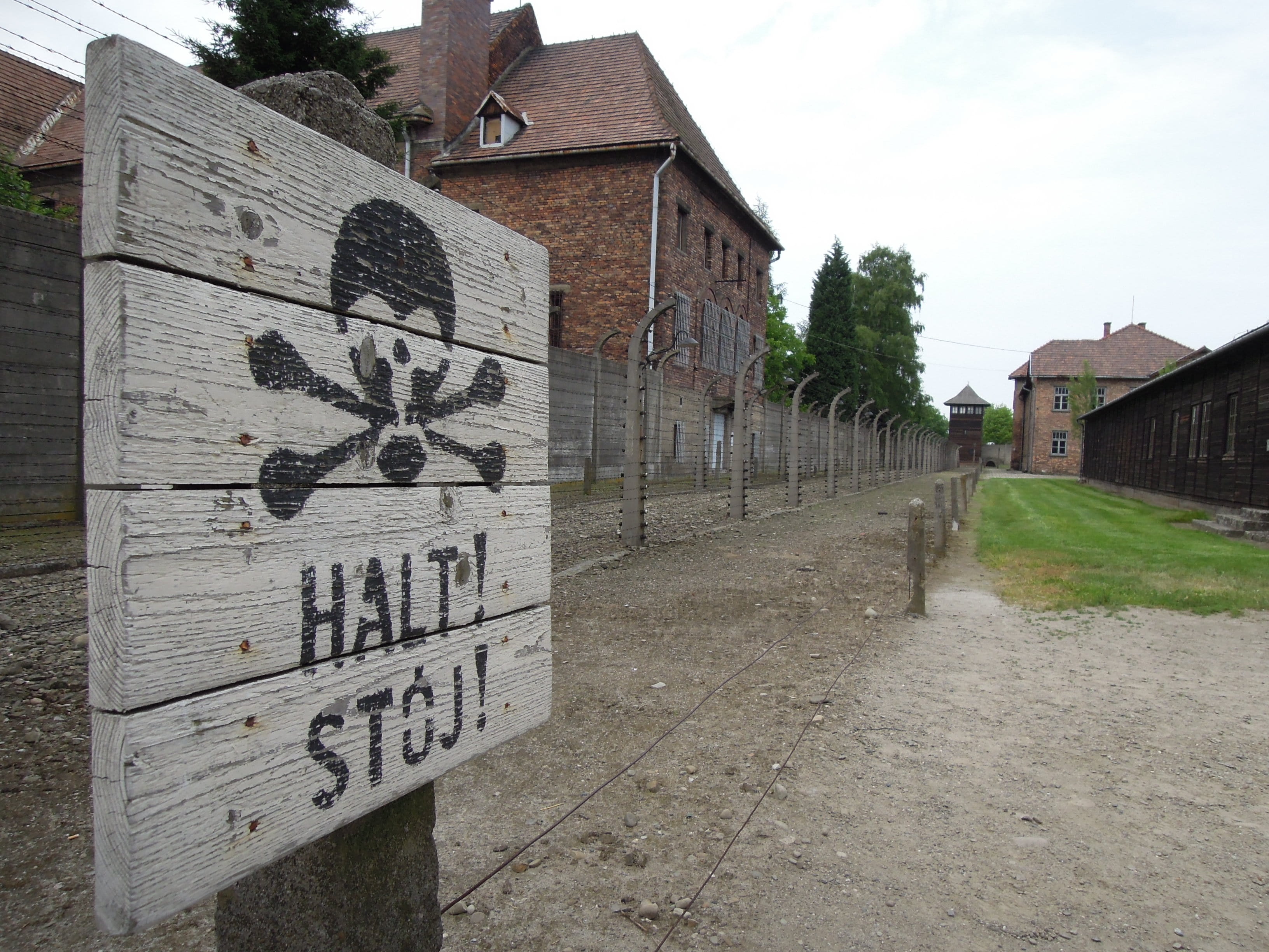 no people, jewish, information, information sign, city, polish, communication, building exterior, world war, massacre, message, sign, architecture, plant, HD Wallpaper