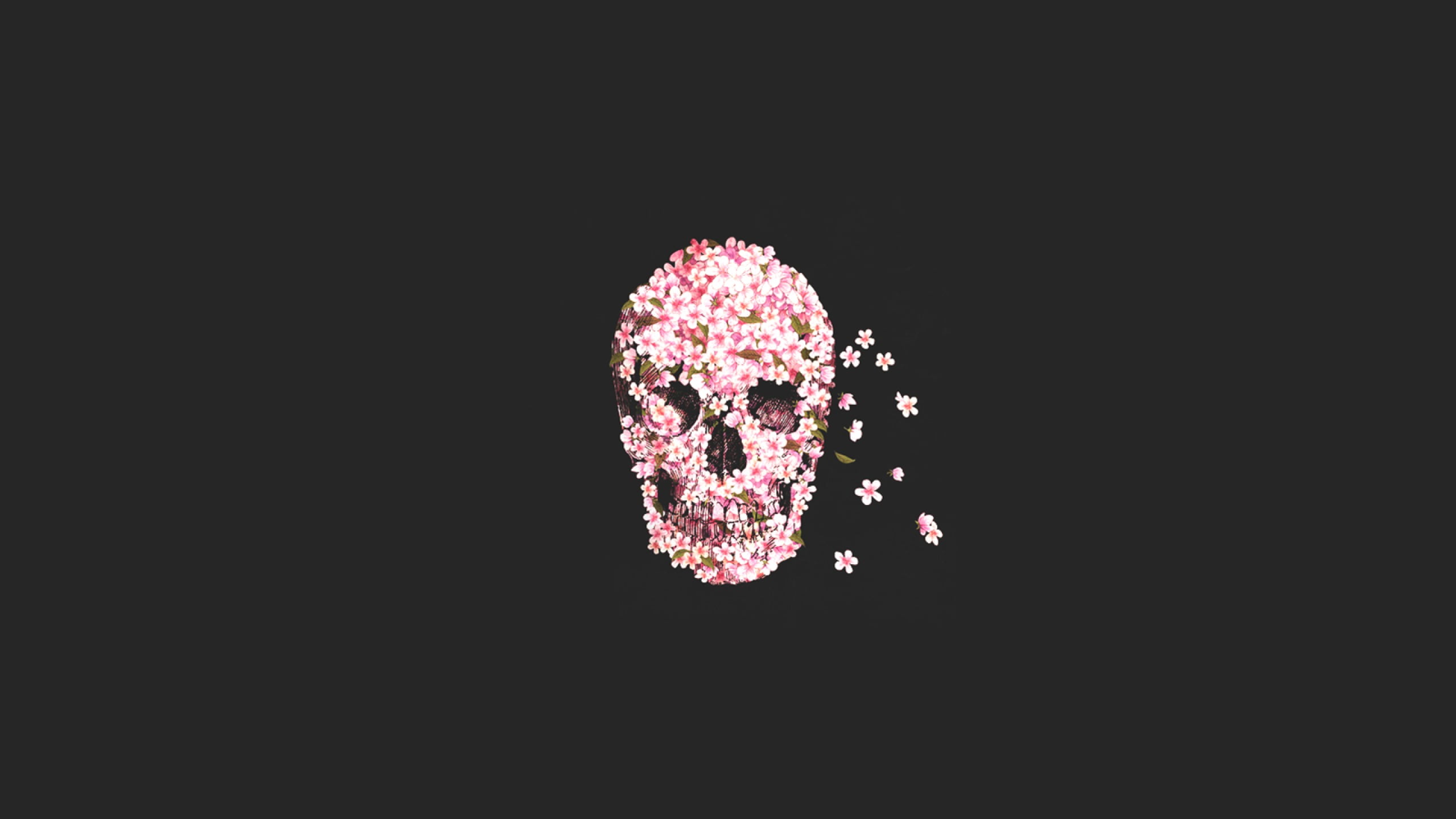 Sugar Skull, skull, 2K, rose, HD Wallpaper