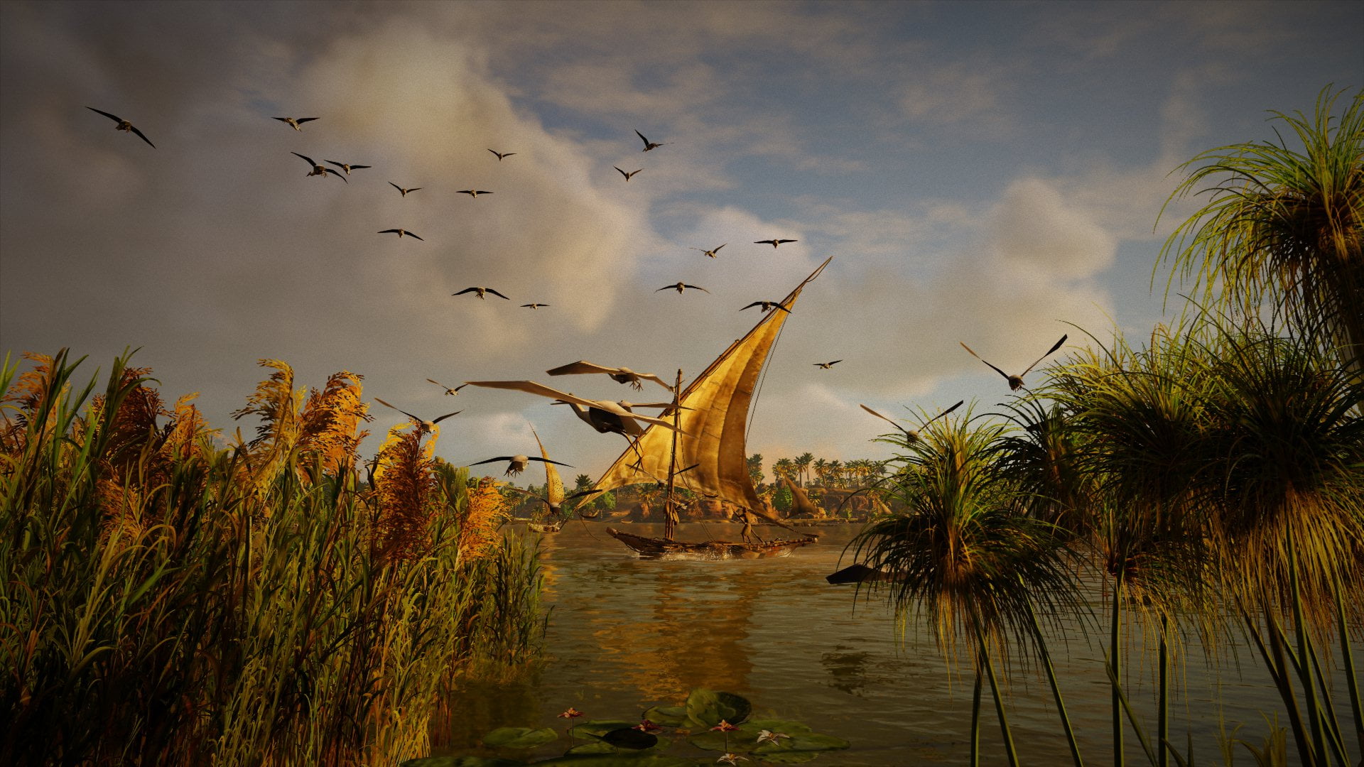 scenics - nature, bird, beauty in nature, flying, Bayek, animal wildlife, cloud - sky, large group of animals, 1080P, animals in the wild, nature, Assassins Creed, HD Wallpaper